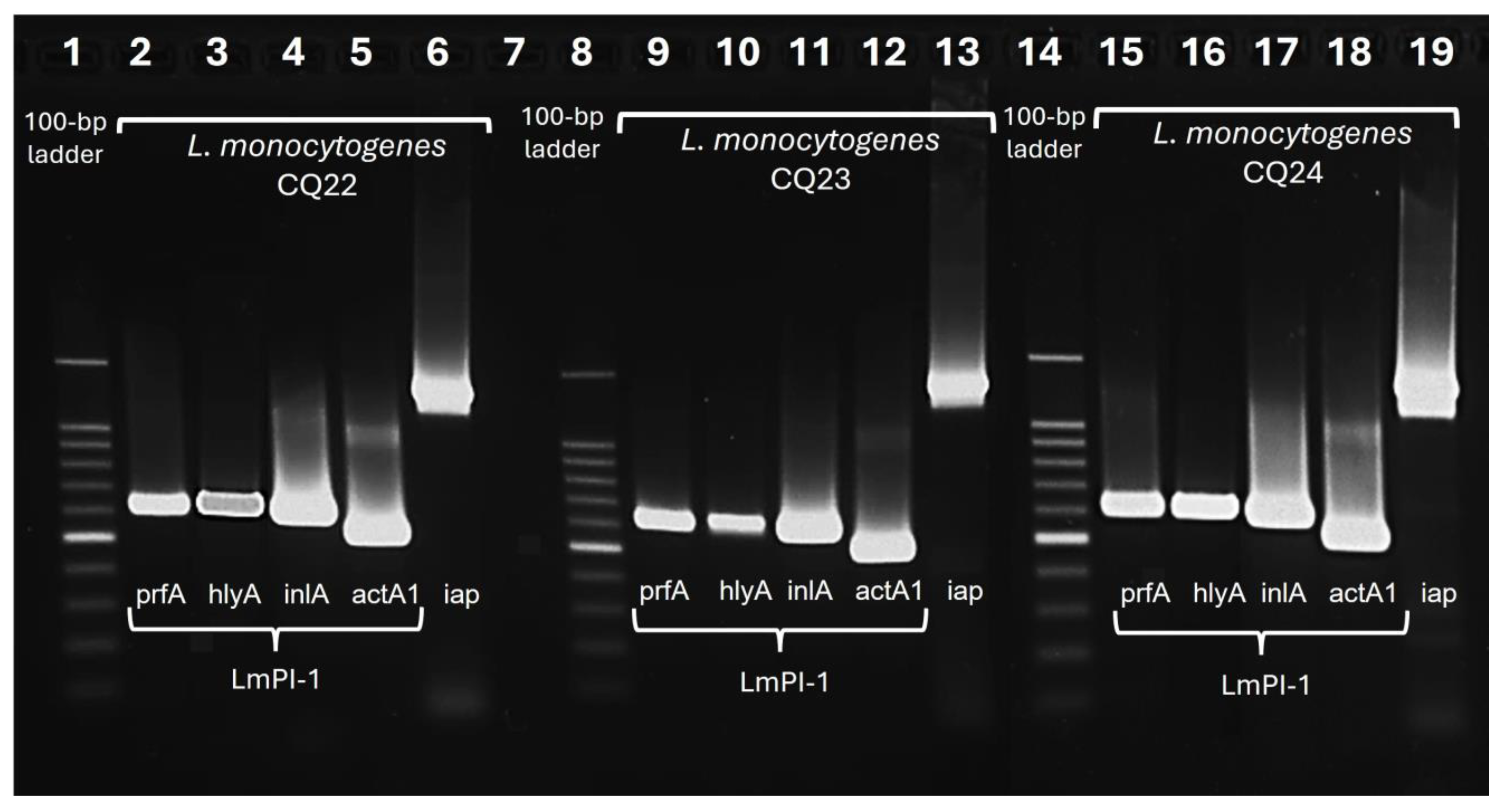 Preprints 226703 g005 Preprints 226703 g005