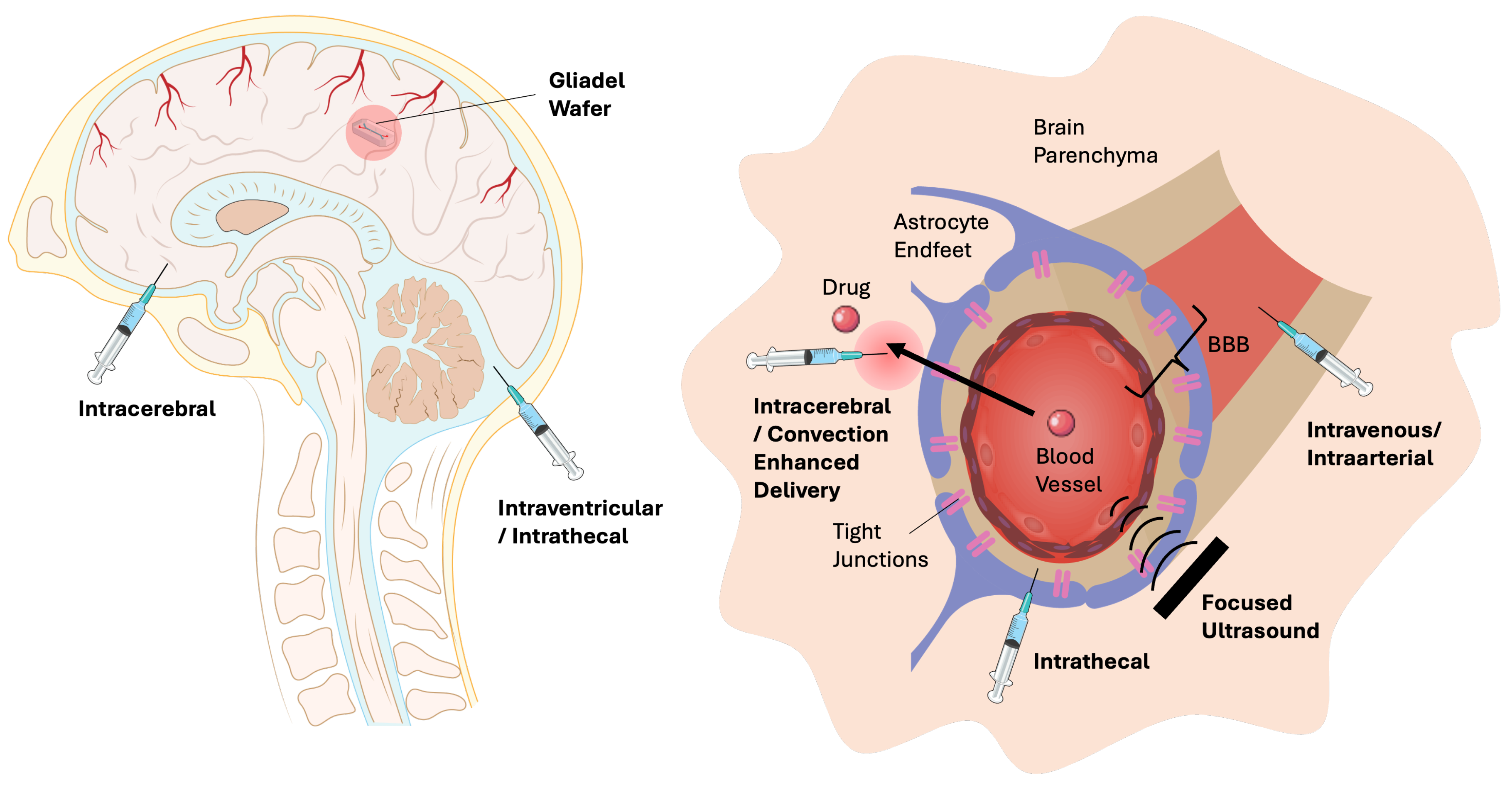 Preprints 194181 g005
