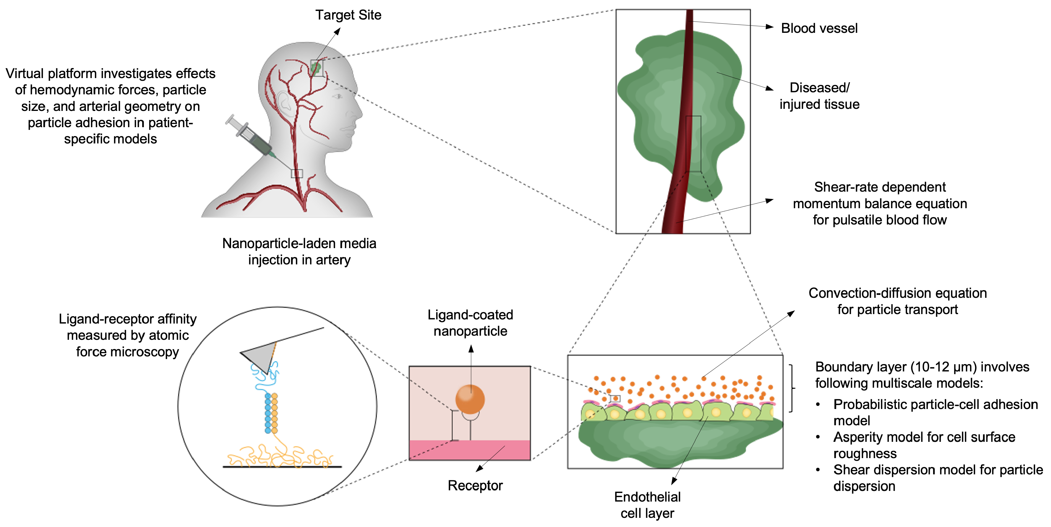 Preprints 194181 g009