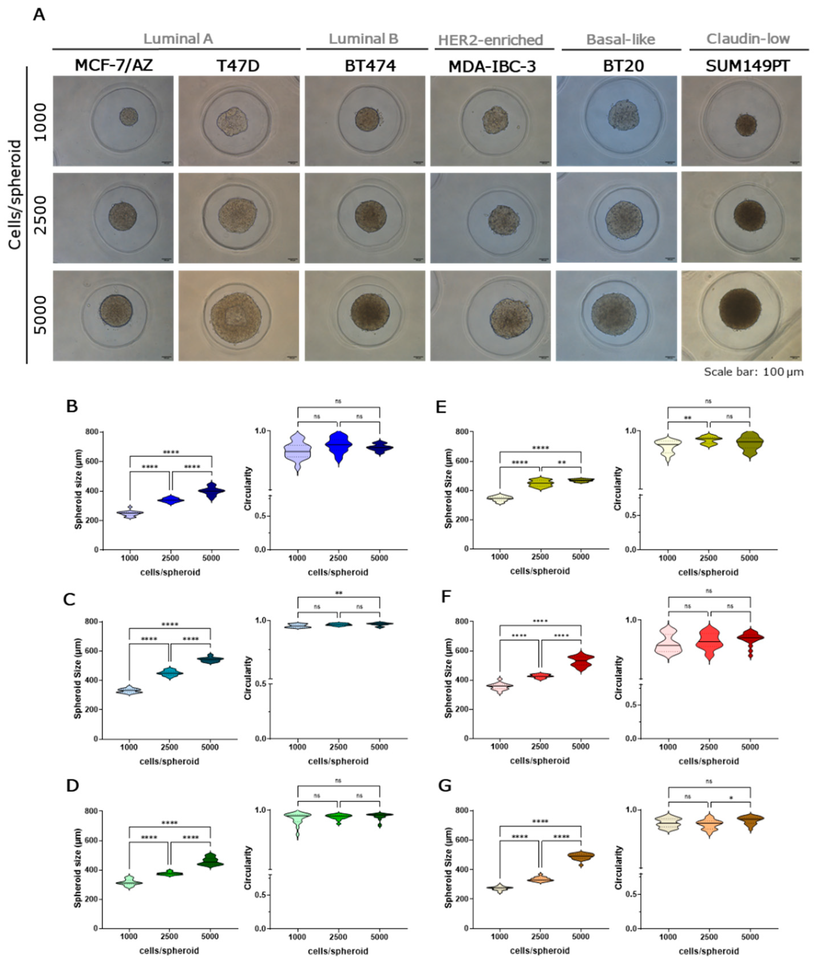 Preprints 205785 g001