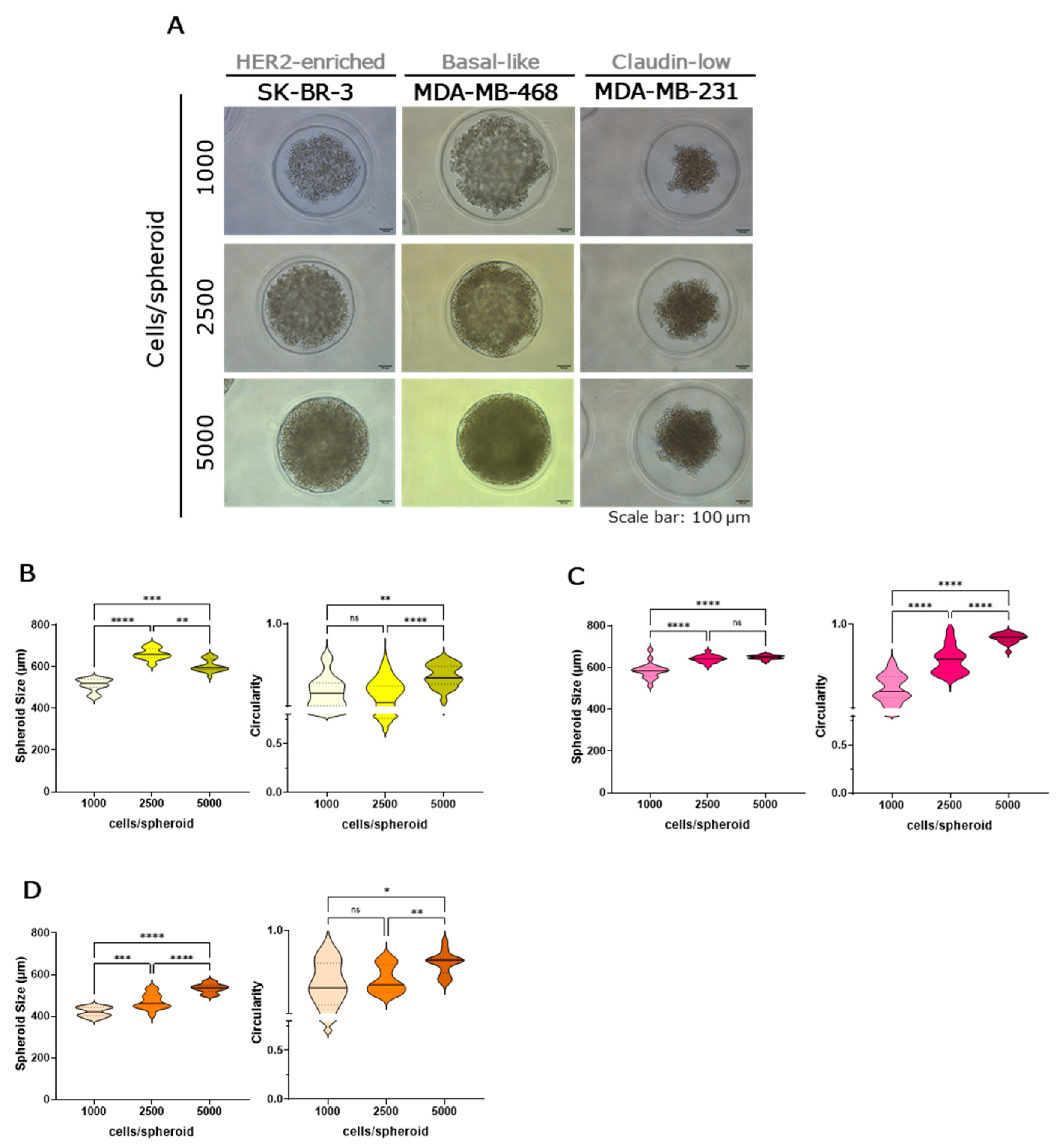 Preprints 205785 g002