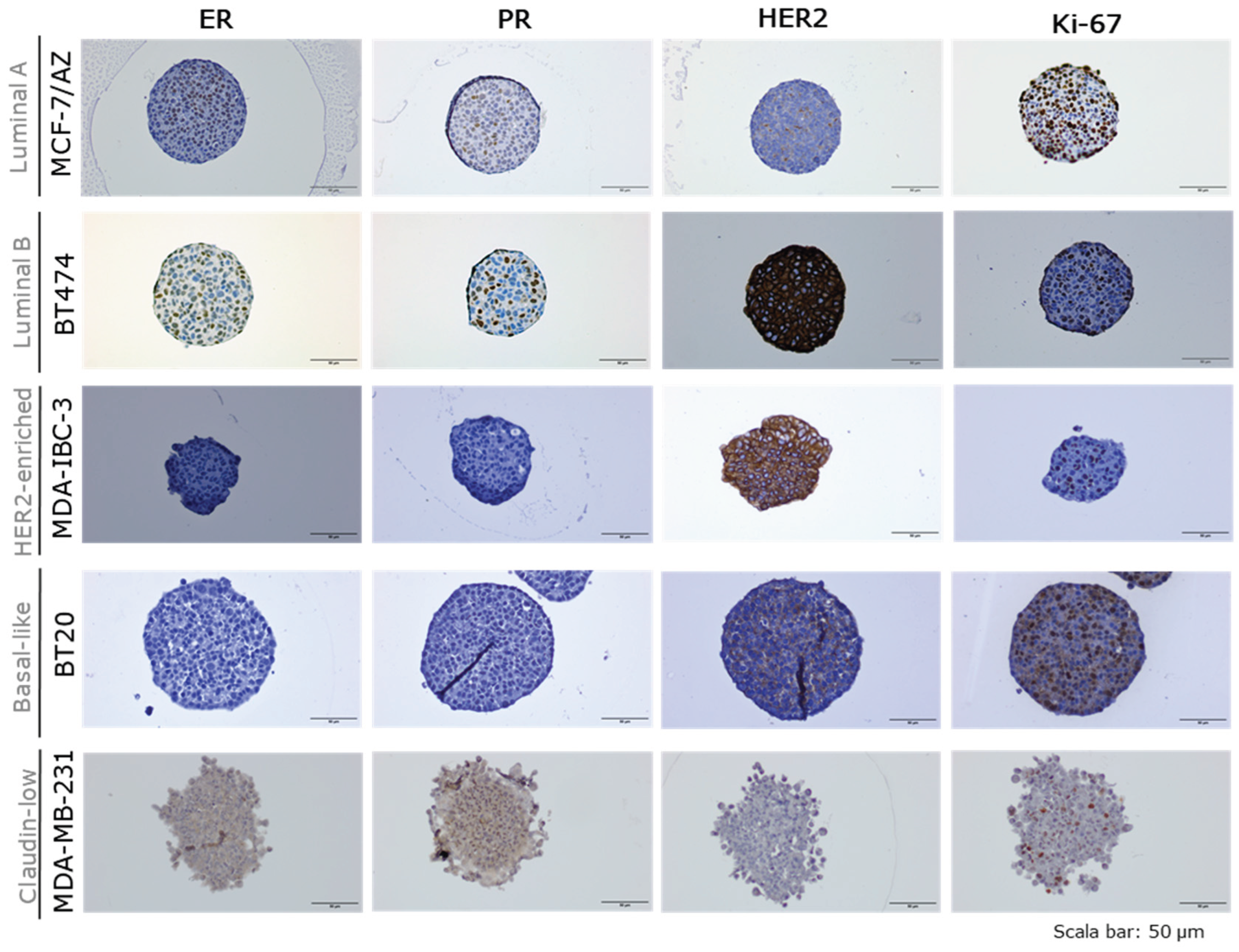 Preprints 205785 g003