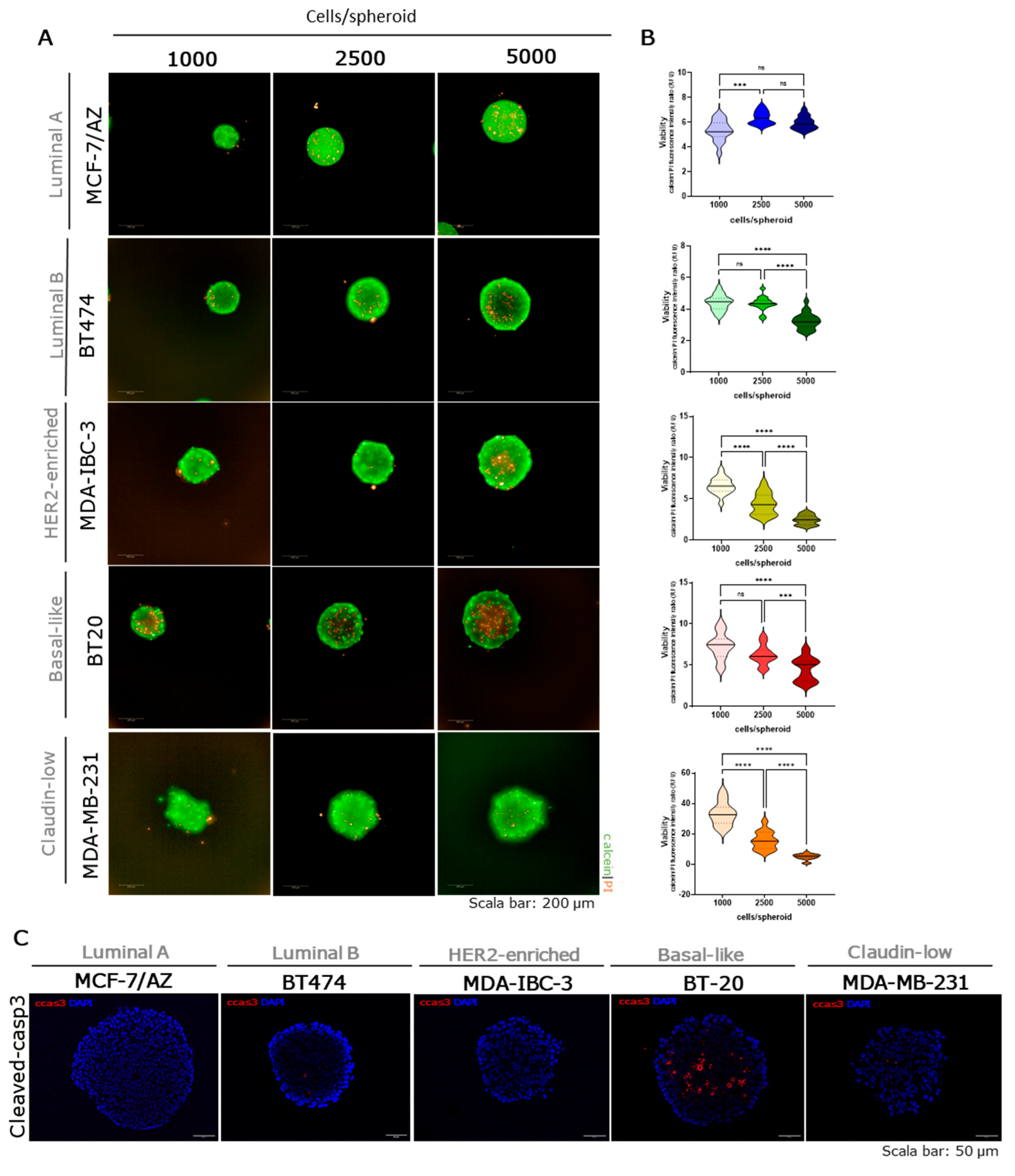 Preprints 205785 g004