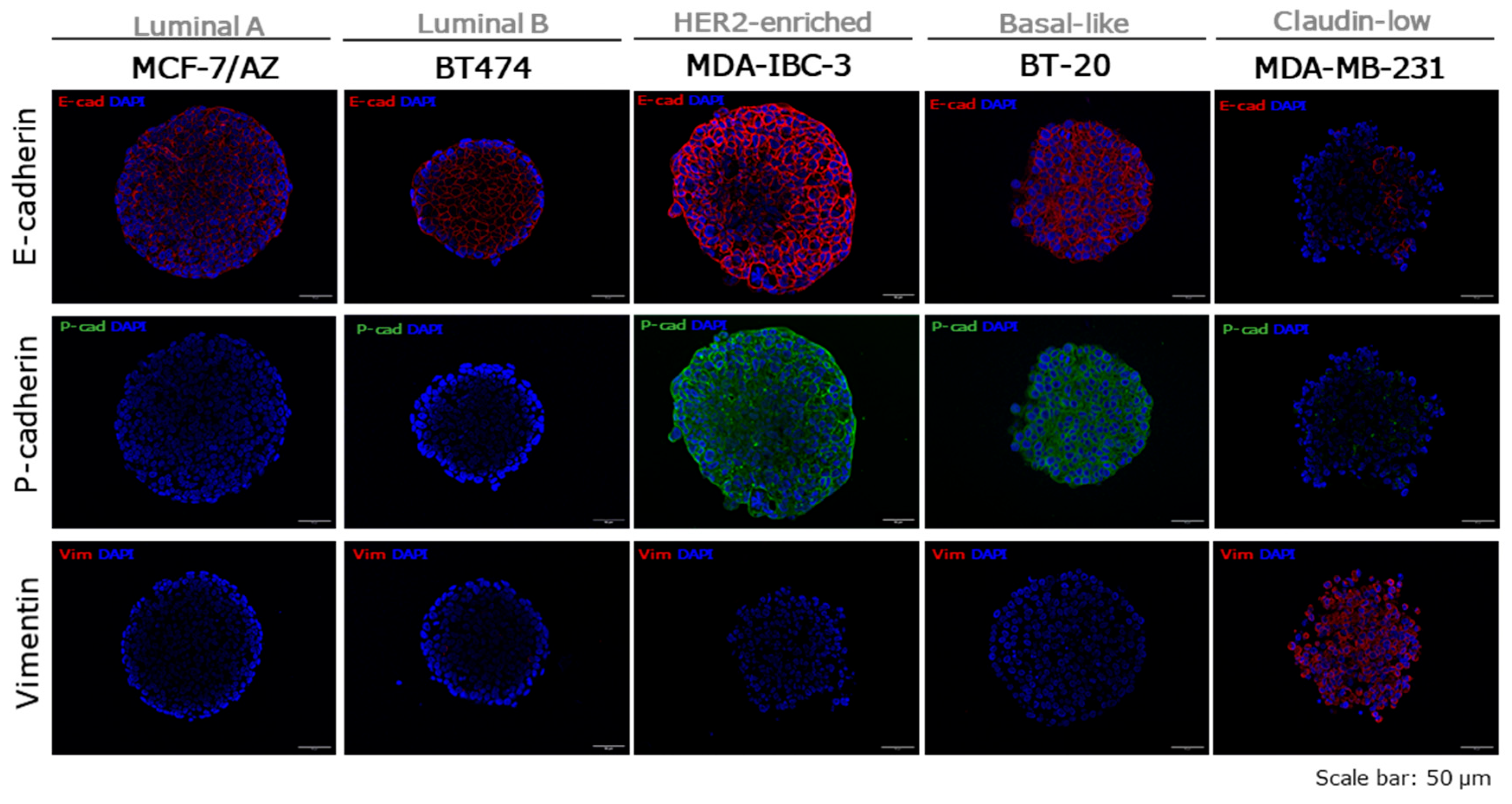 Preprints 205785 g005