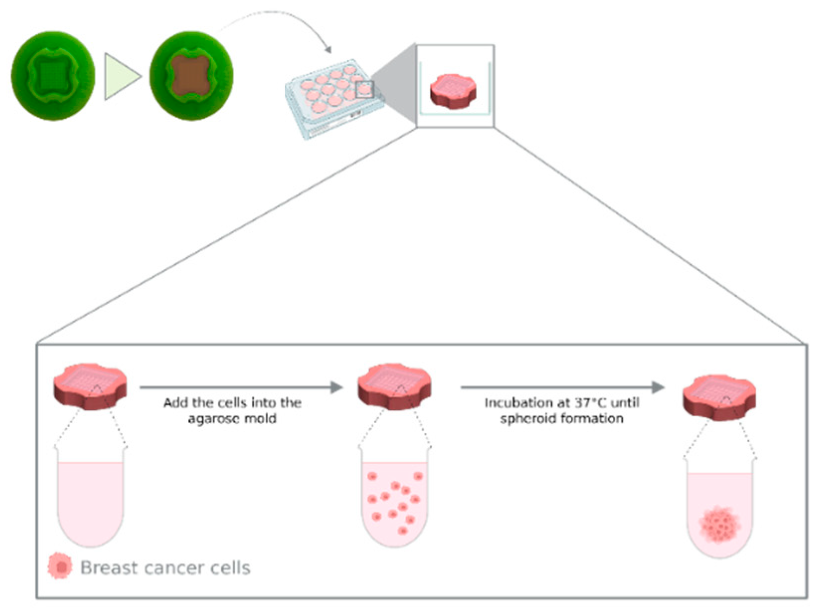 Preprints 205785 g0a1
