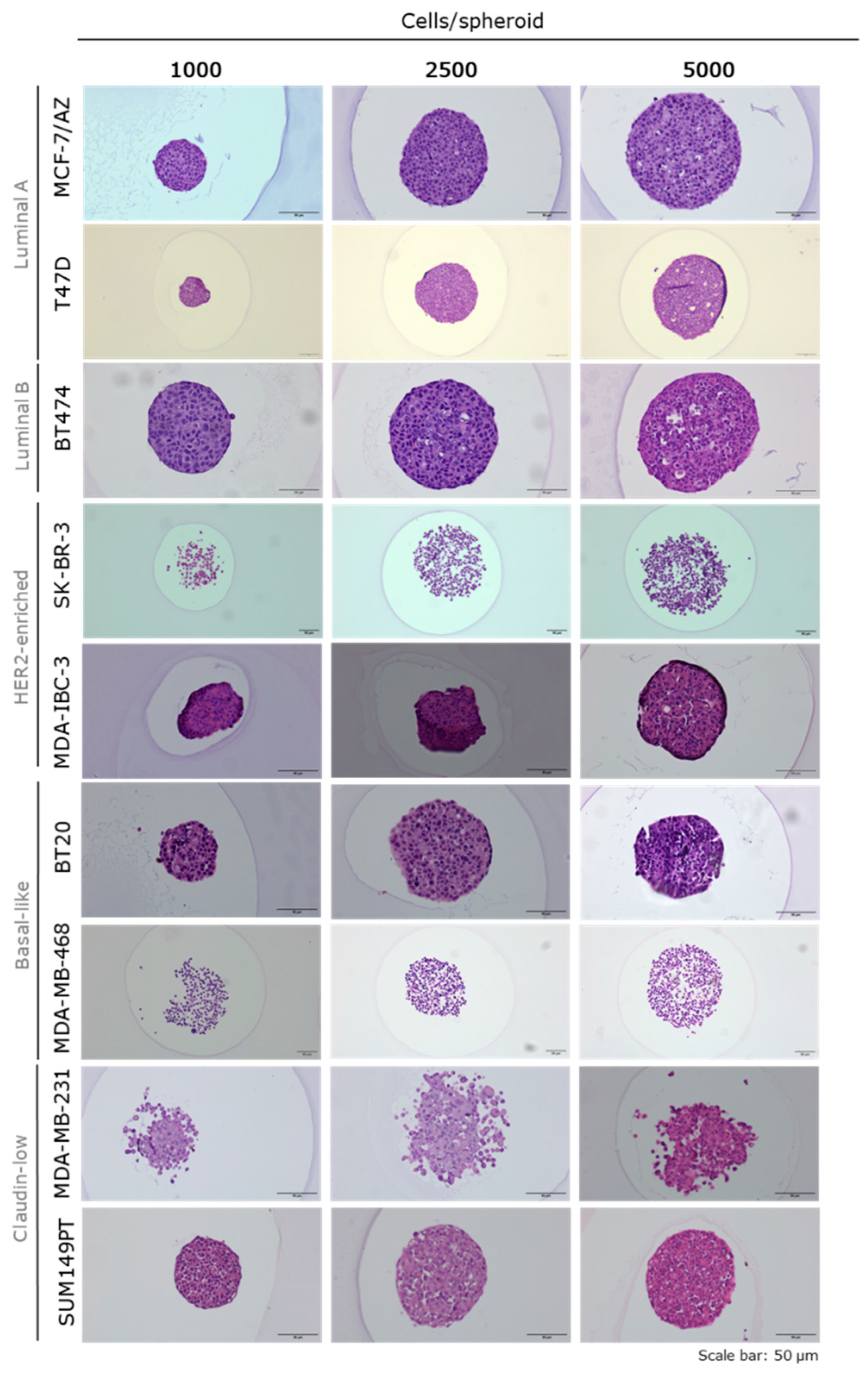 Preprints 205785 g0a2