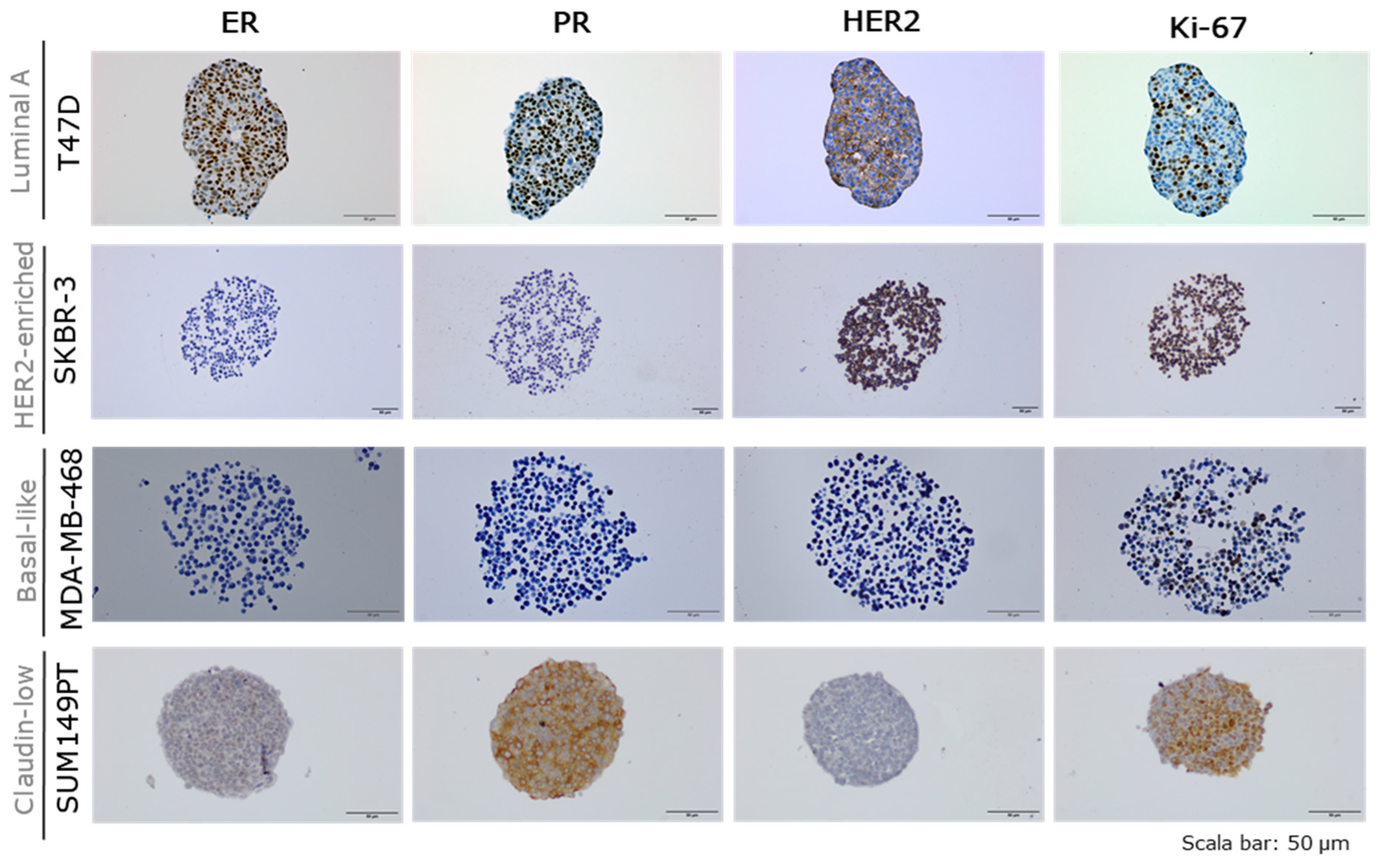 Preprints 205785 g0a3