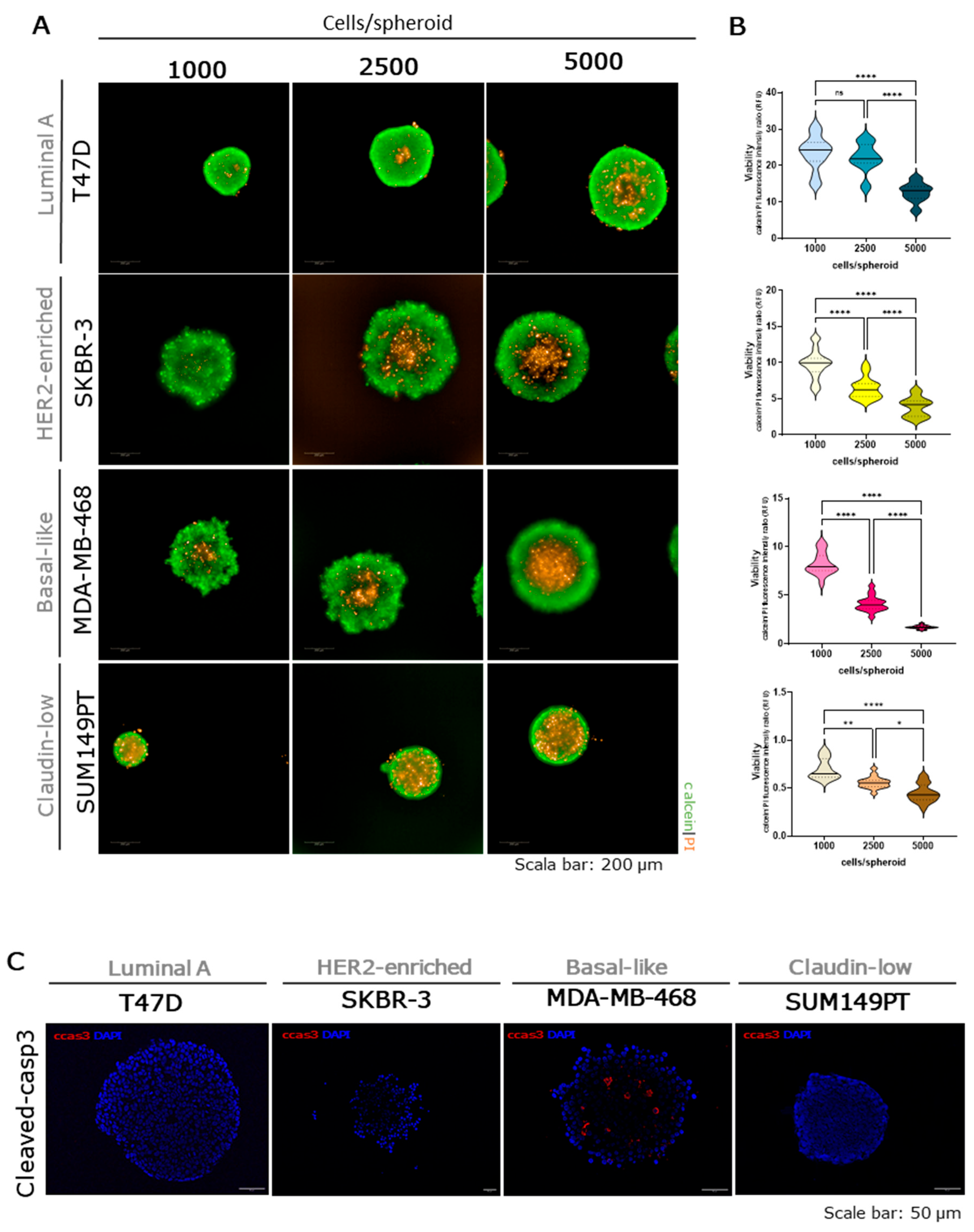 Preprints 205785 g0a4