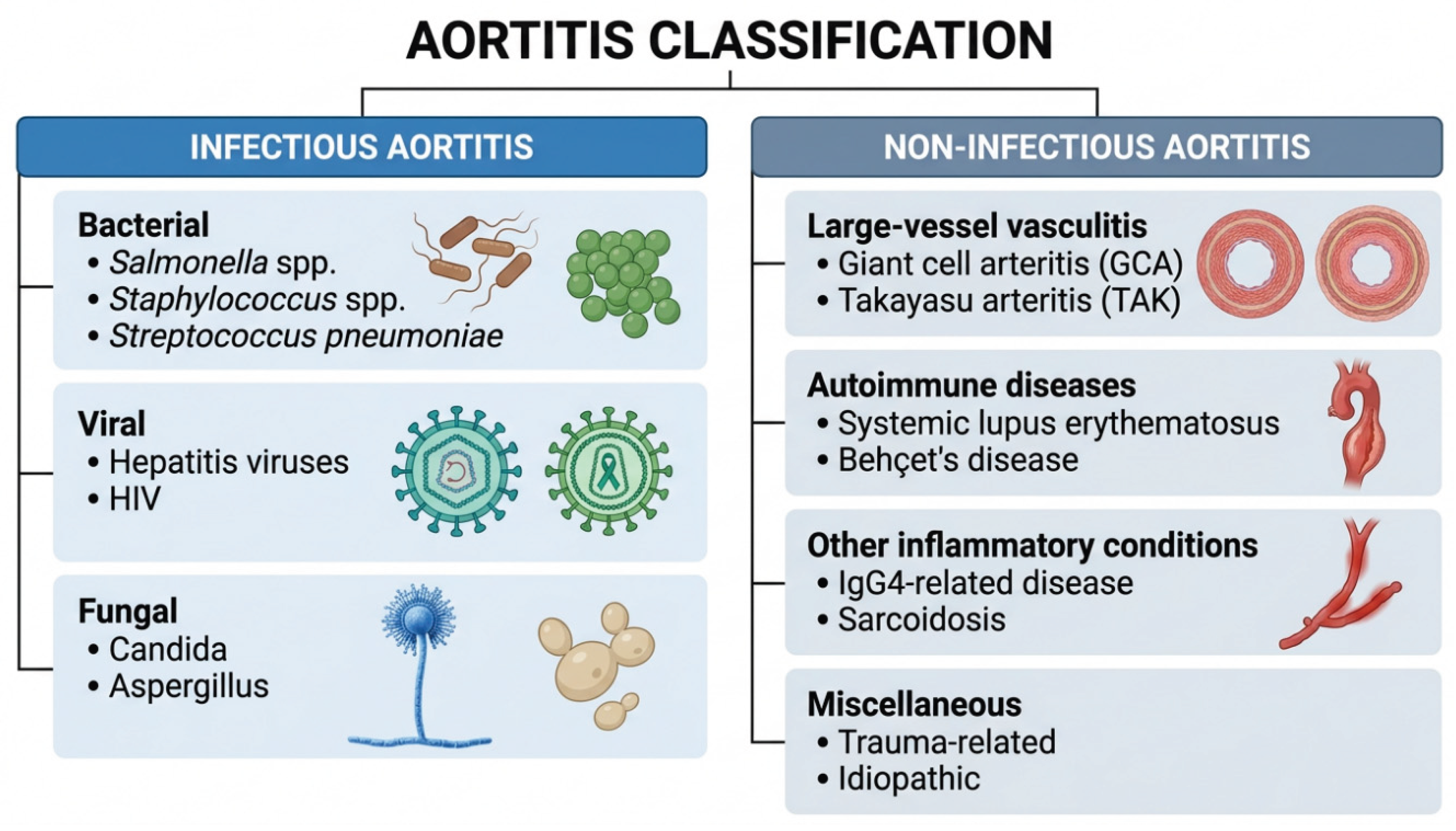 Preprints 220144 g001 Preprints 220144 g001
