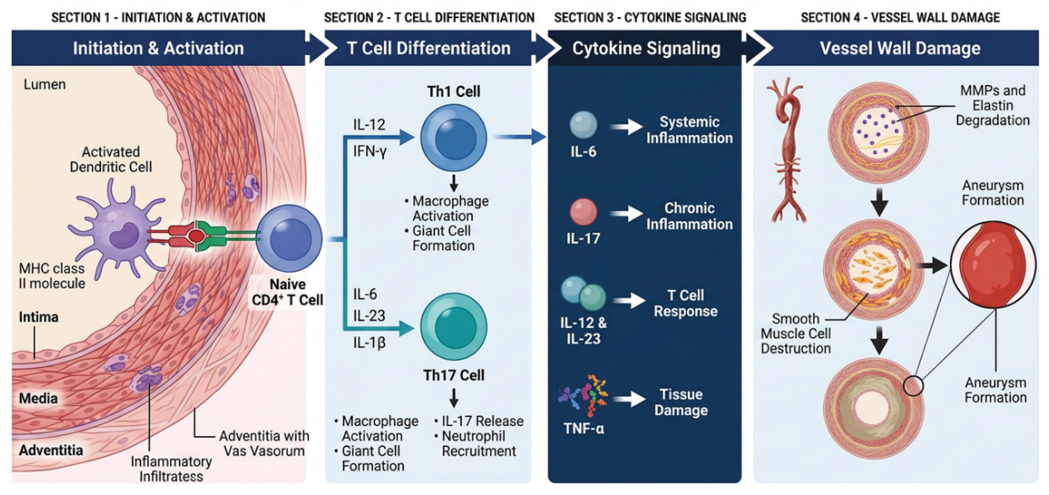 Preprints 220144 g002 Preprints 220144 g002