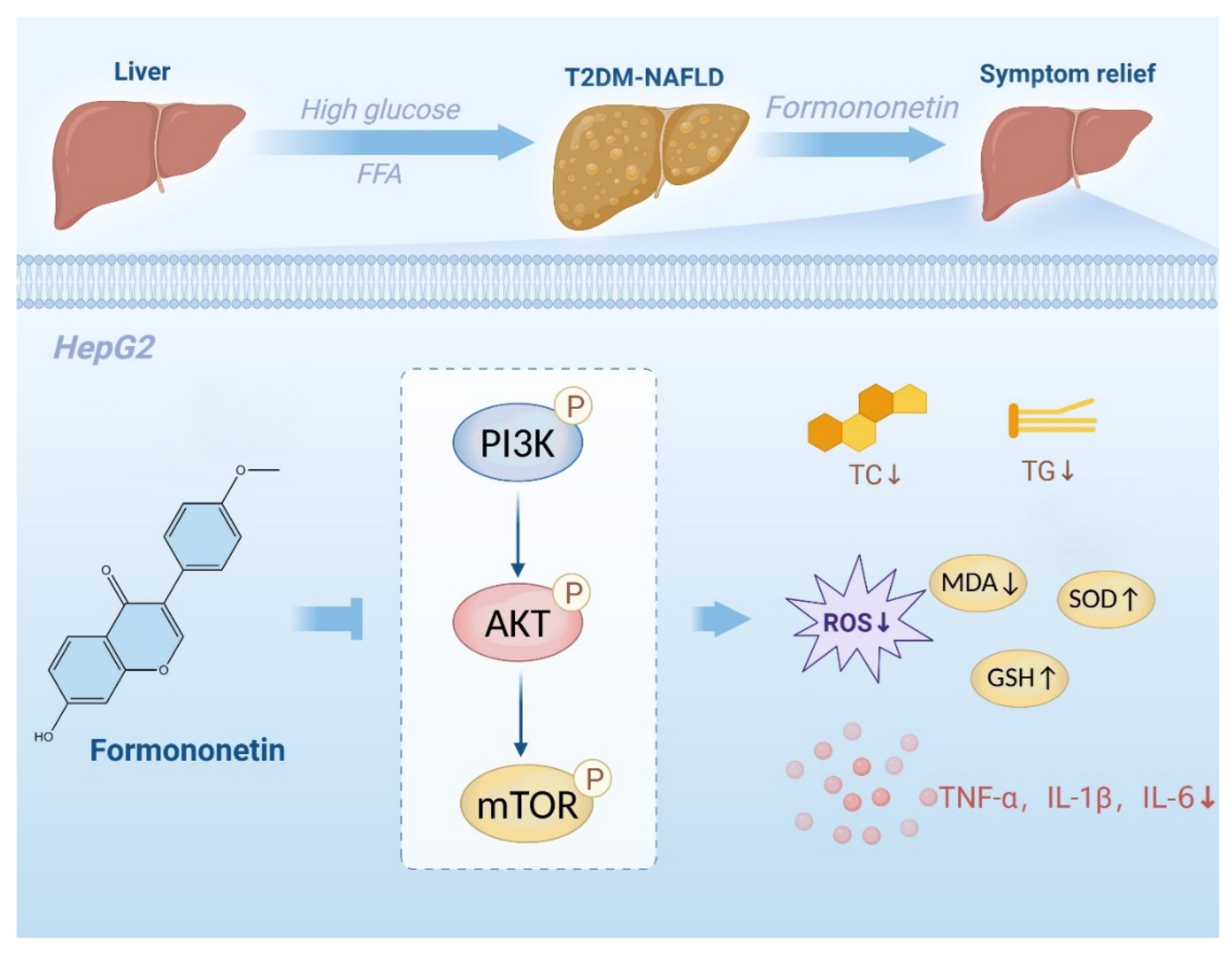 Preprints 194466 g009