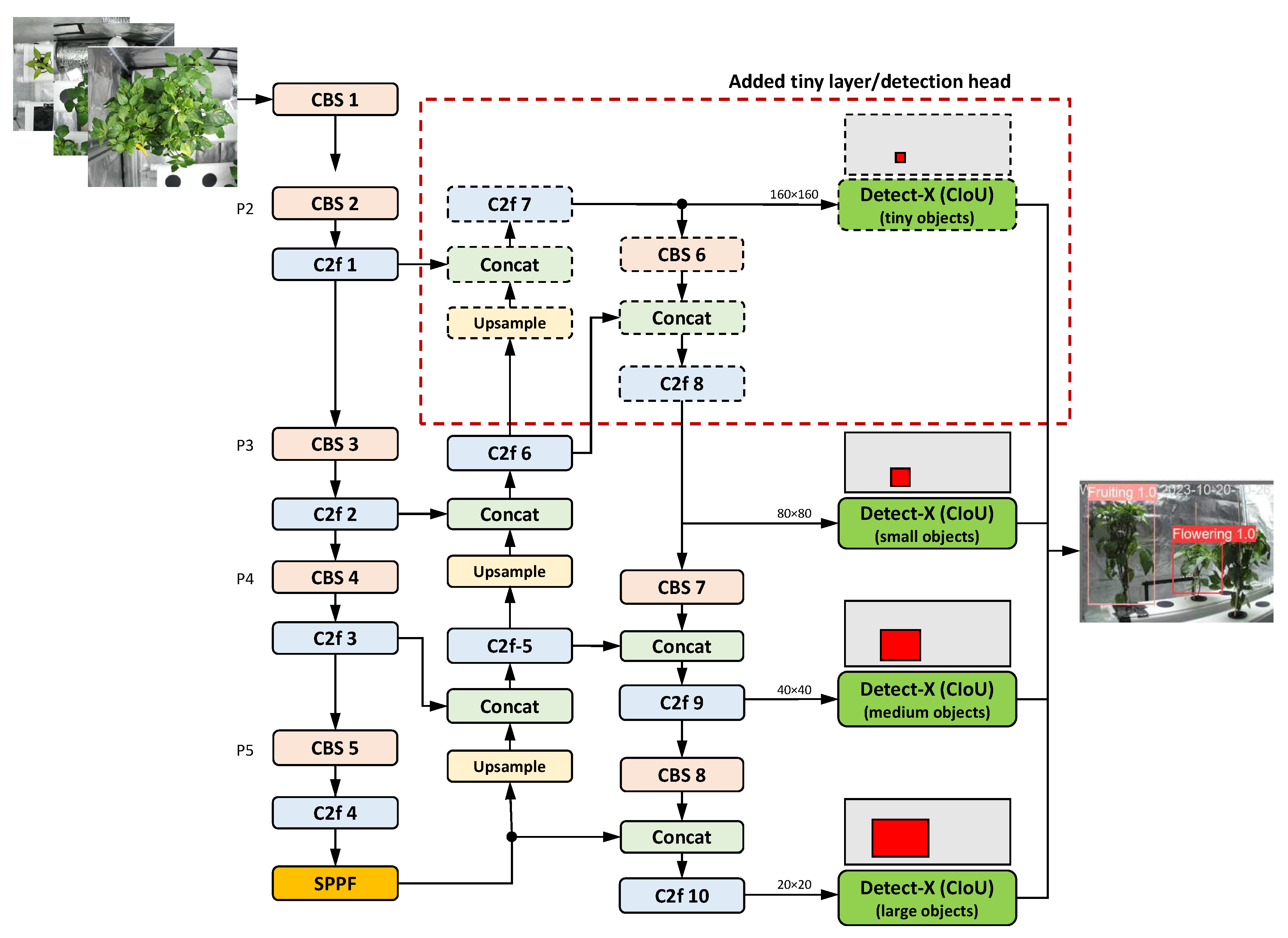 Preprints 186556 g007