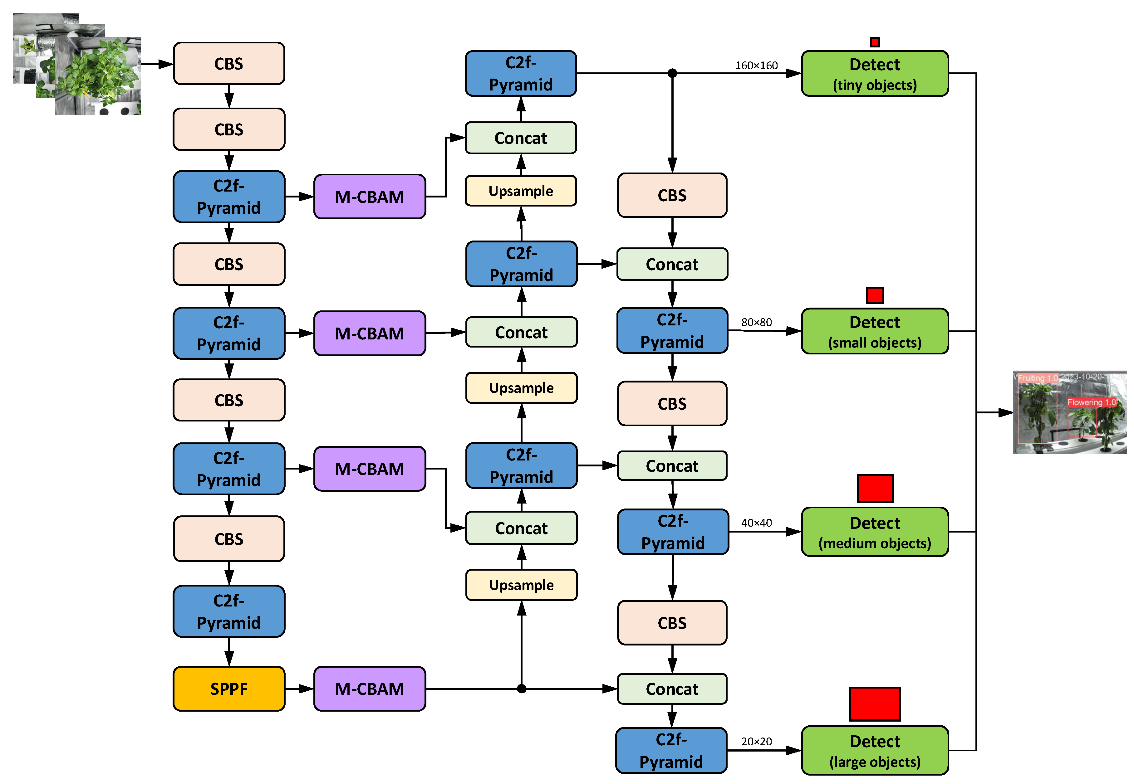 Preprints 186556 g020