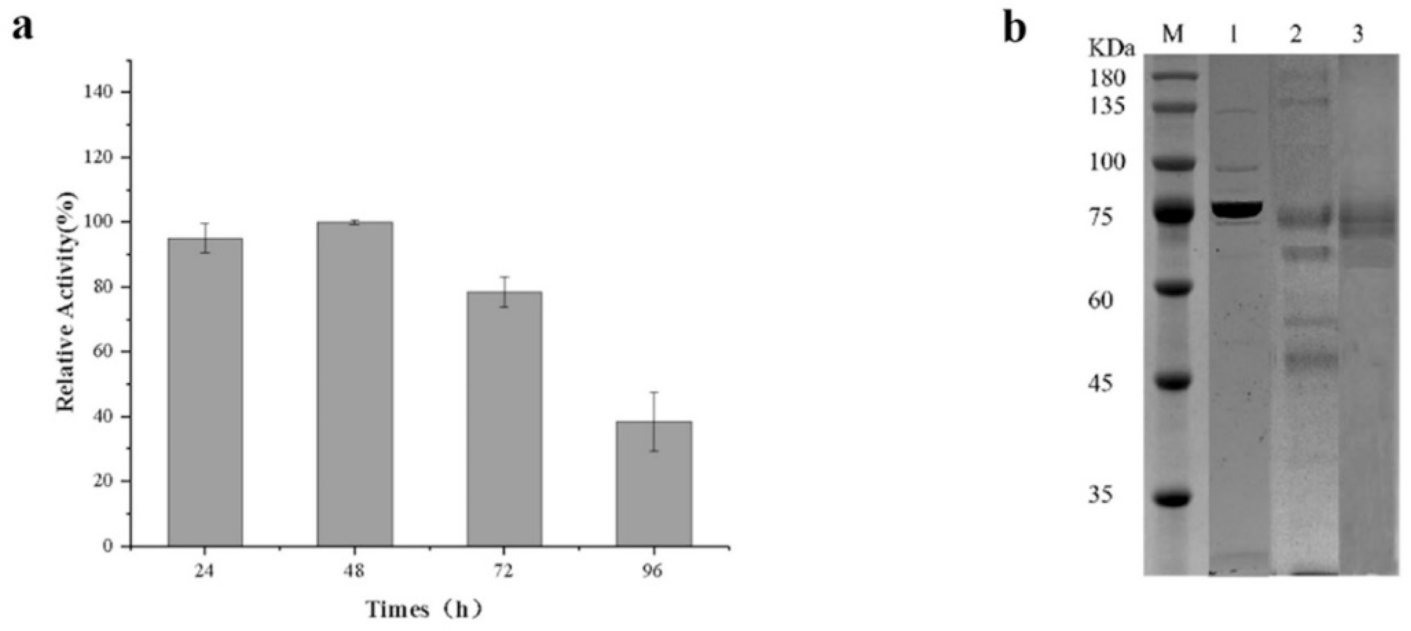 Preprints 143857 g004