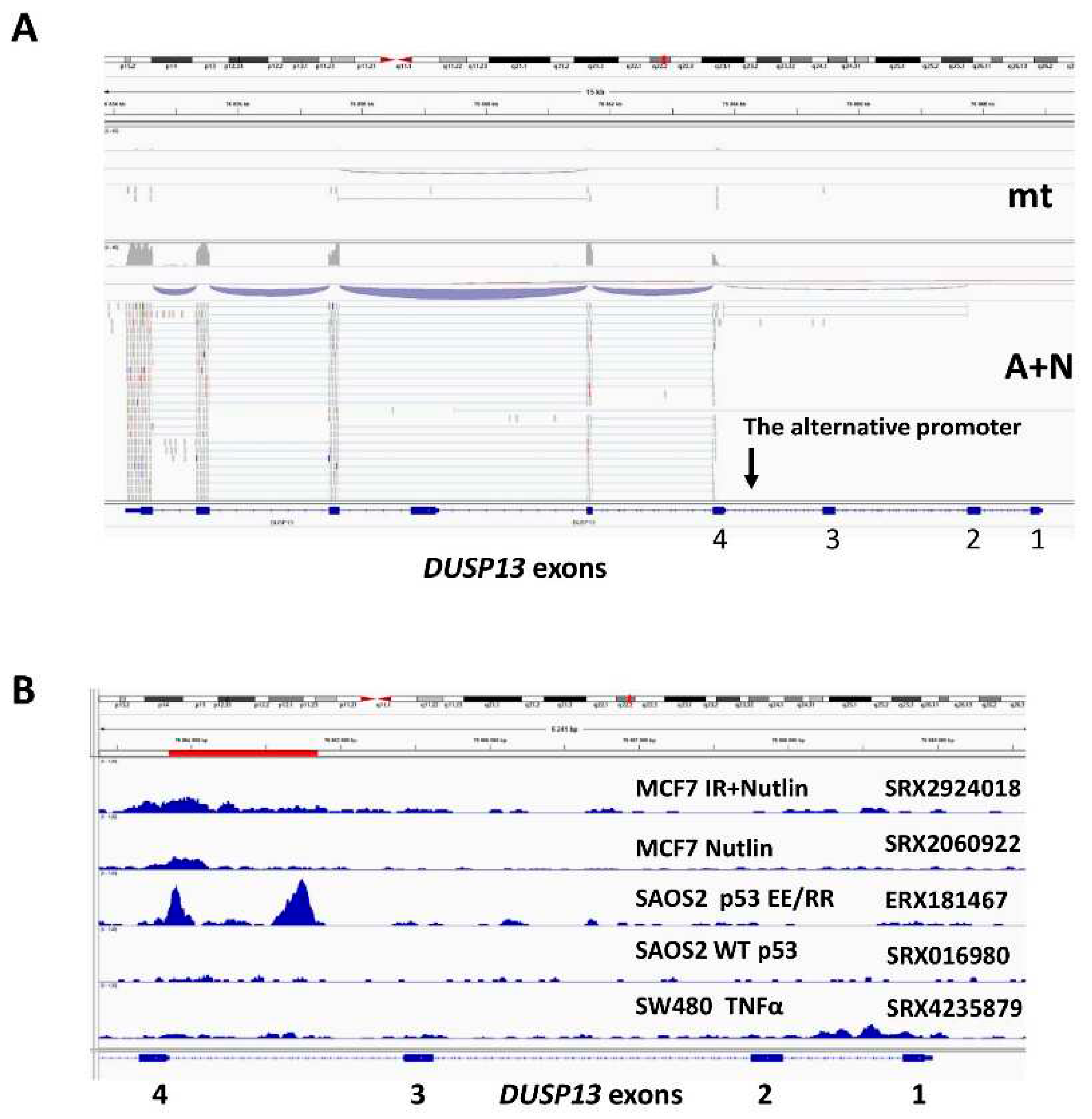 Preprints 85920 g001