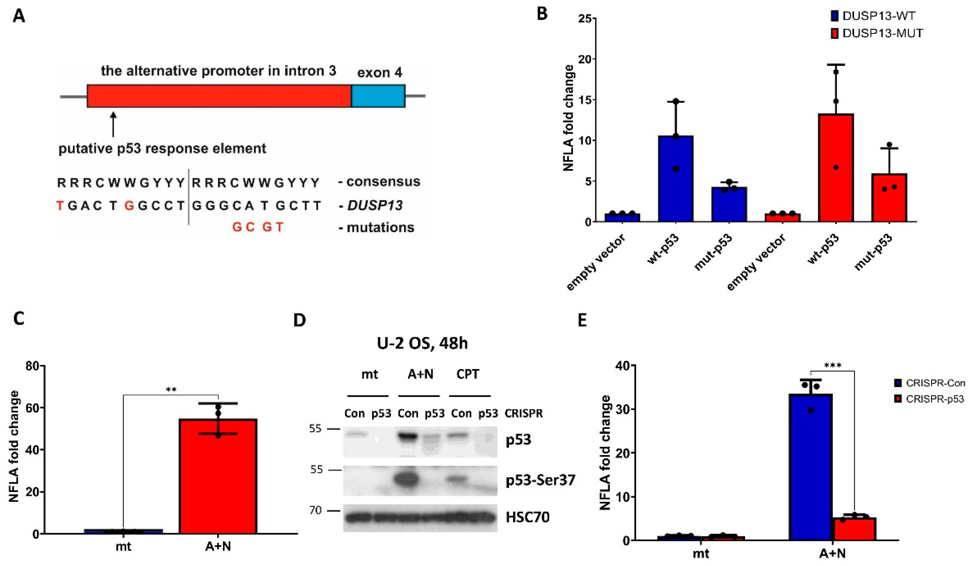 Preprints 85920 g002