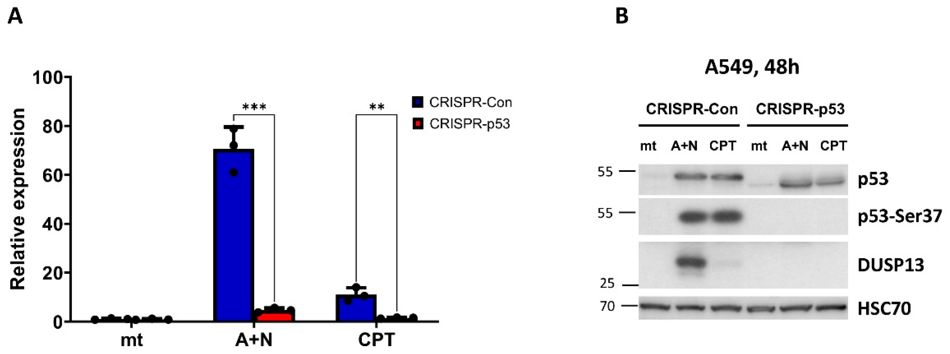 Preprints 85920 g003