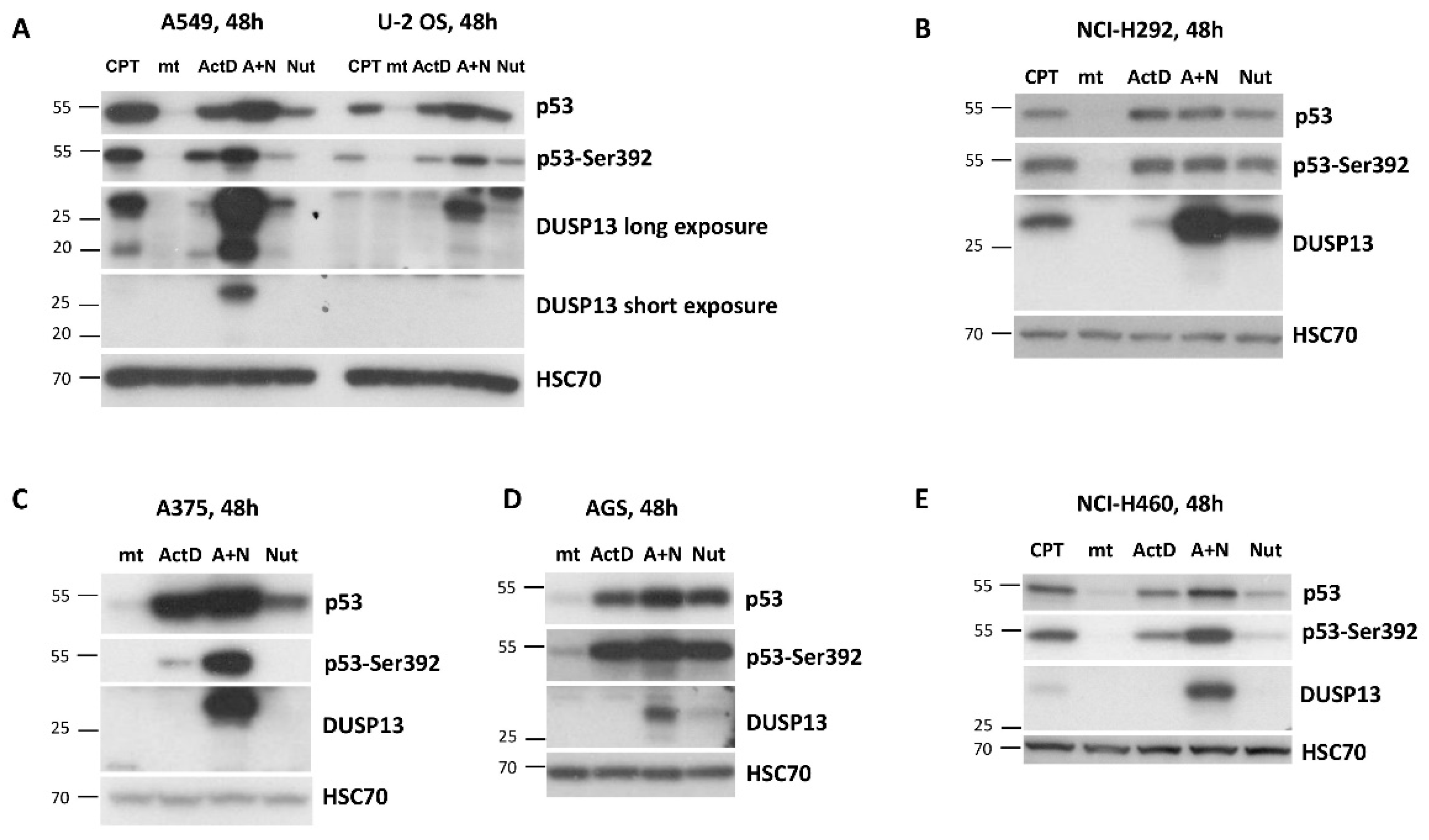 Preprints 85920 g004