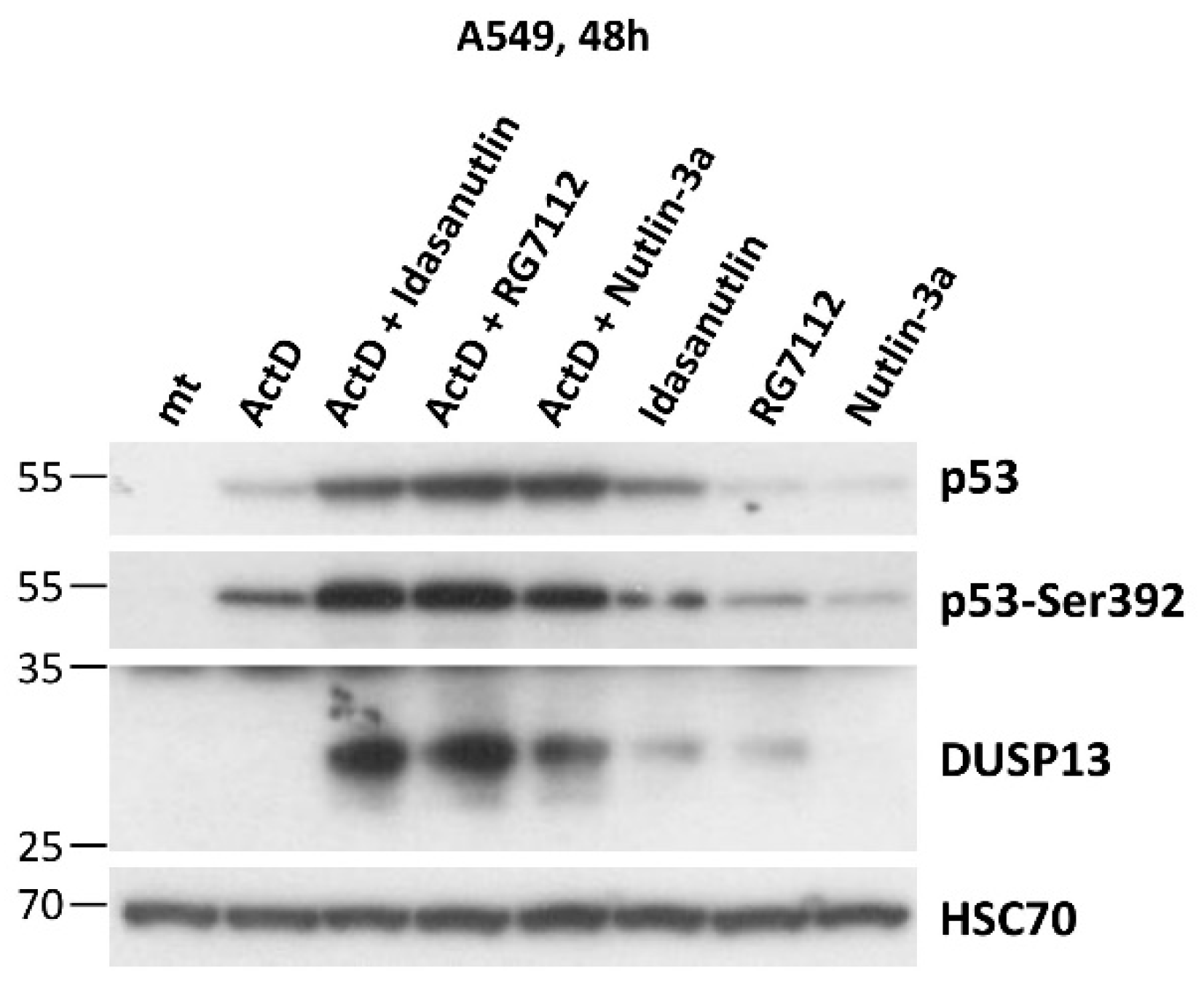 Preprints 85920 g005