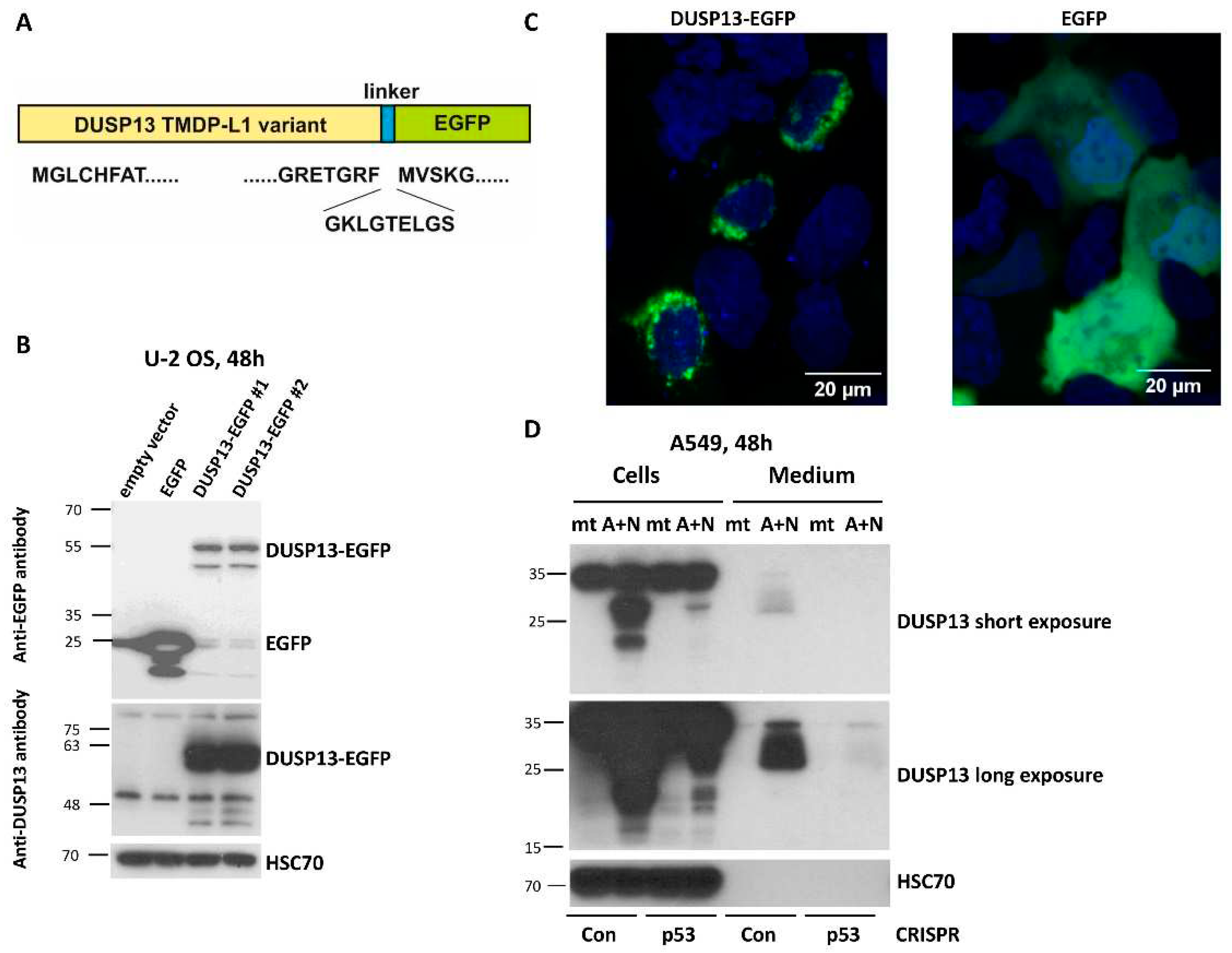 Preprints 85920 g006