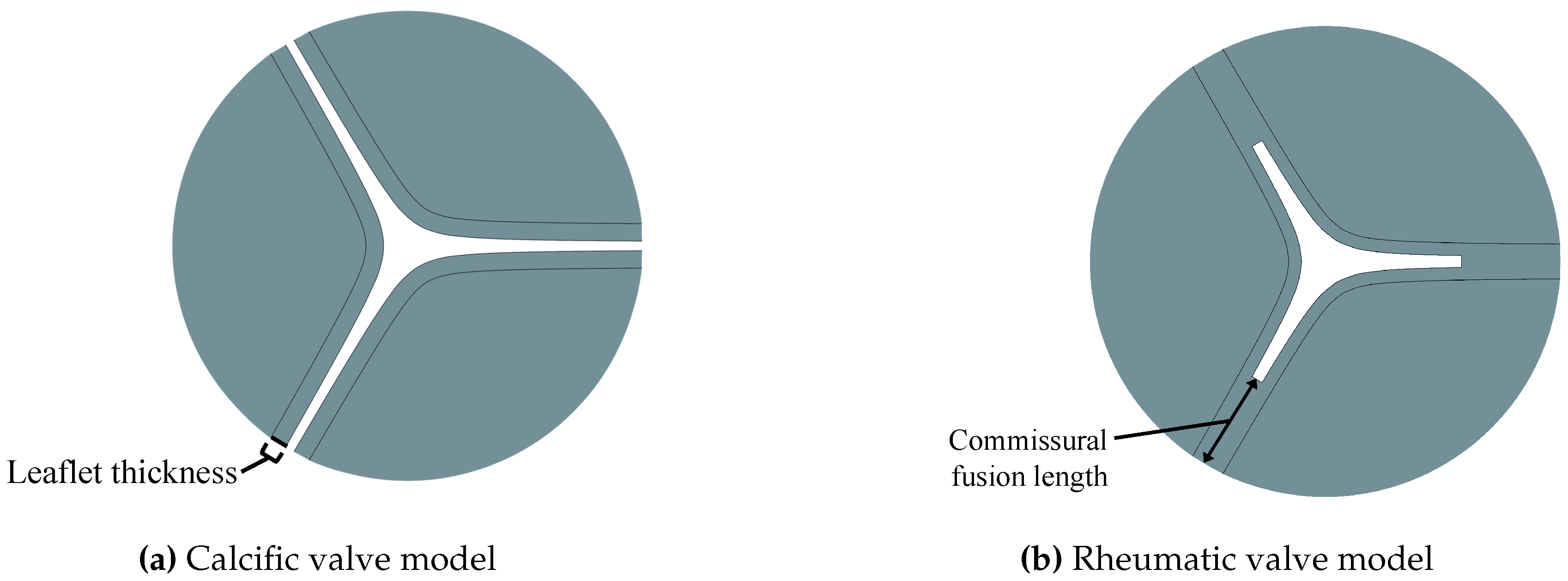 Preprints 156290 g002