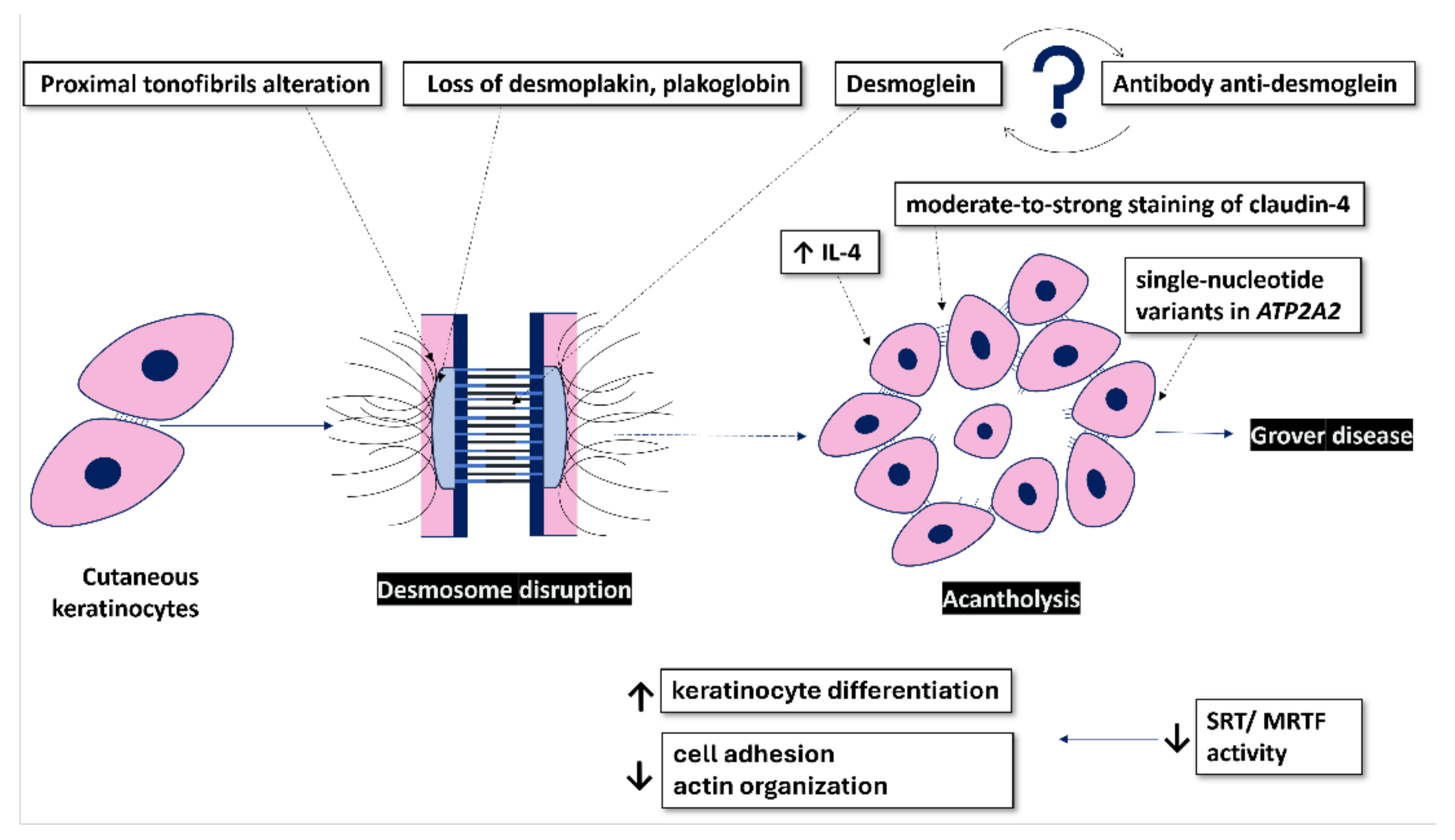 Preprints 114622 g001