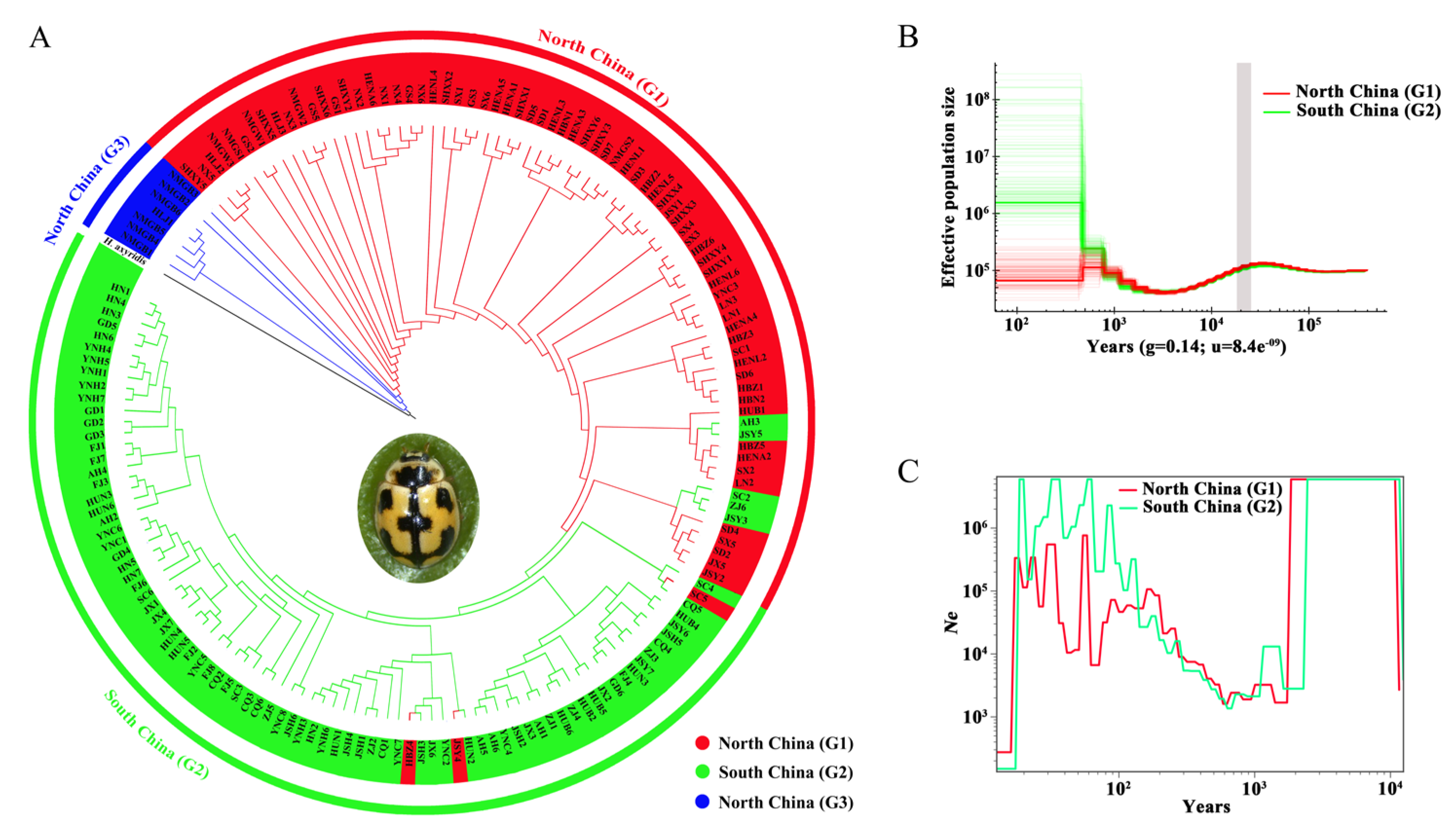 Preprints 195359 g002