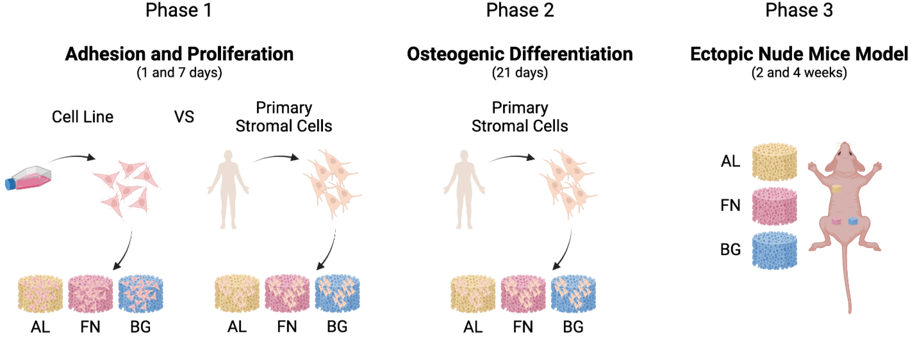 Preprints 174303 g001