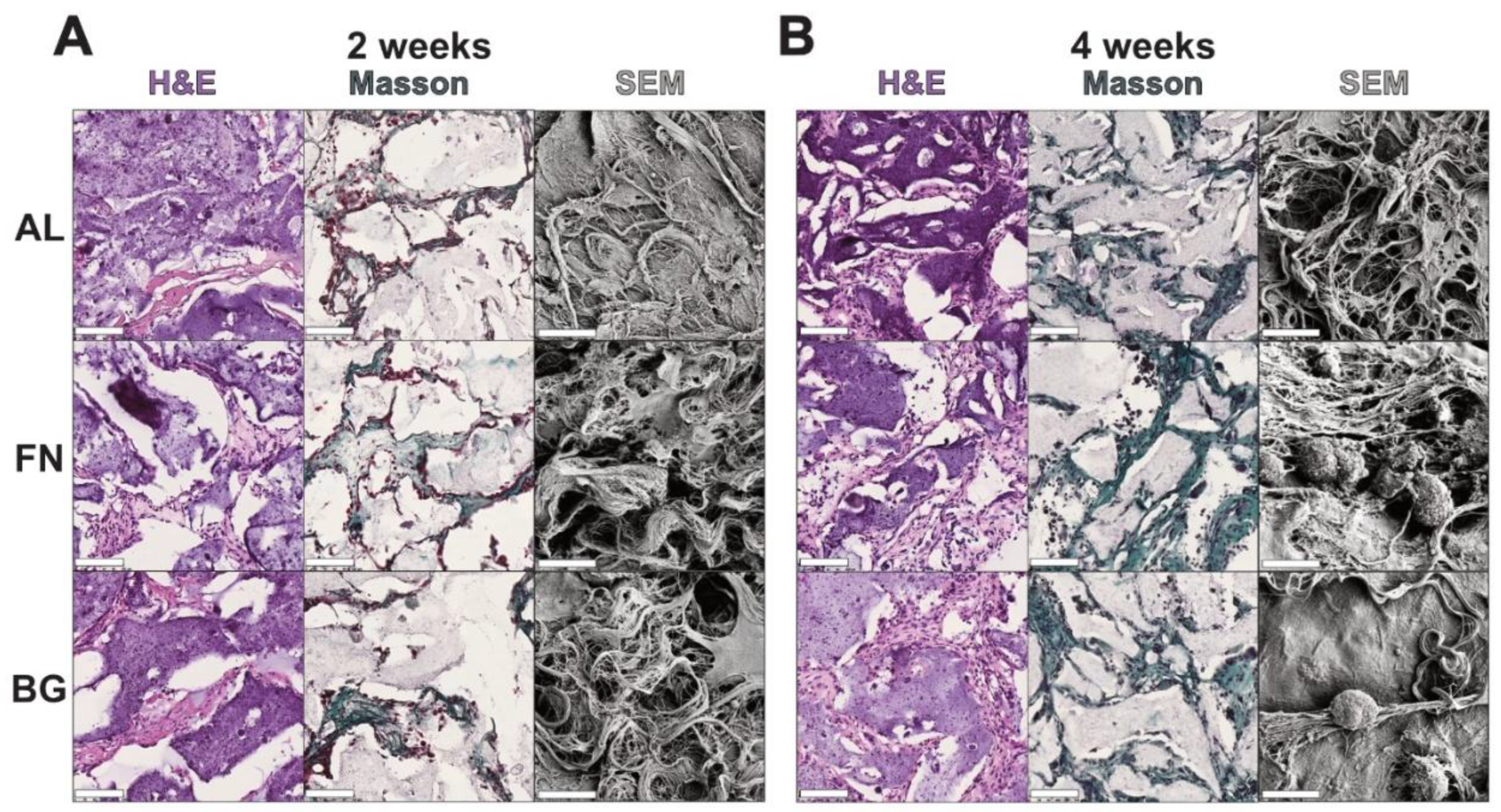 Preprints 174303 g005
