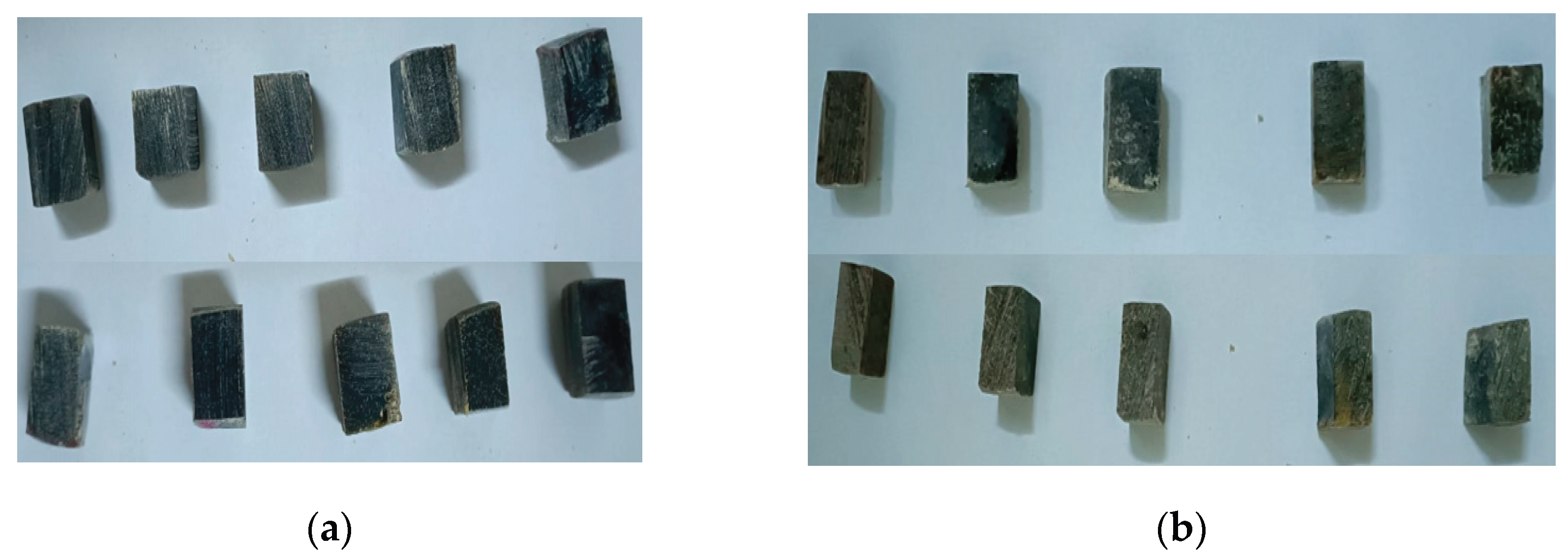 Preprints 194325 g005