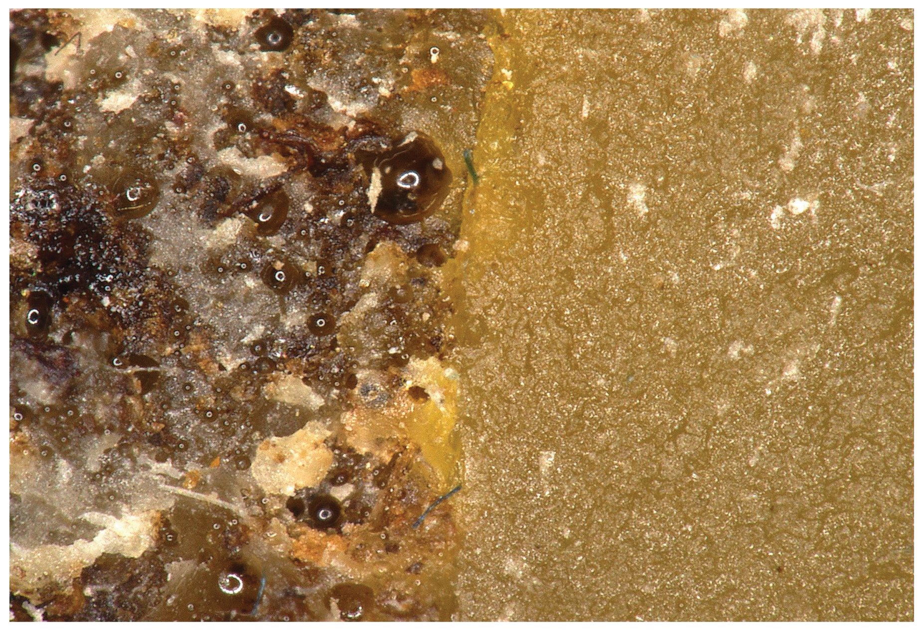 Preprints 194325 g022