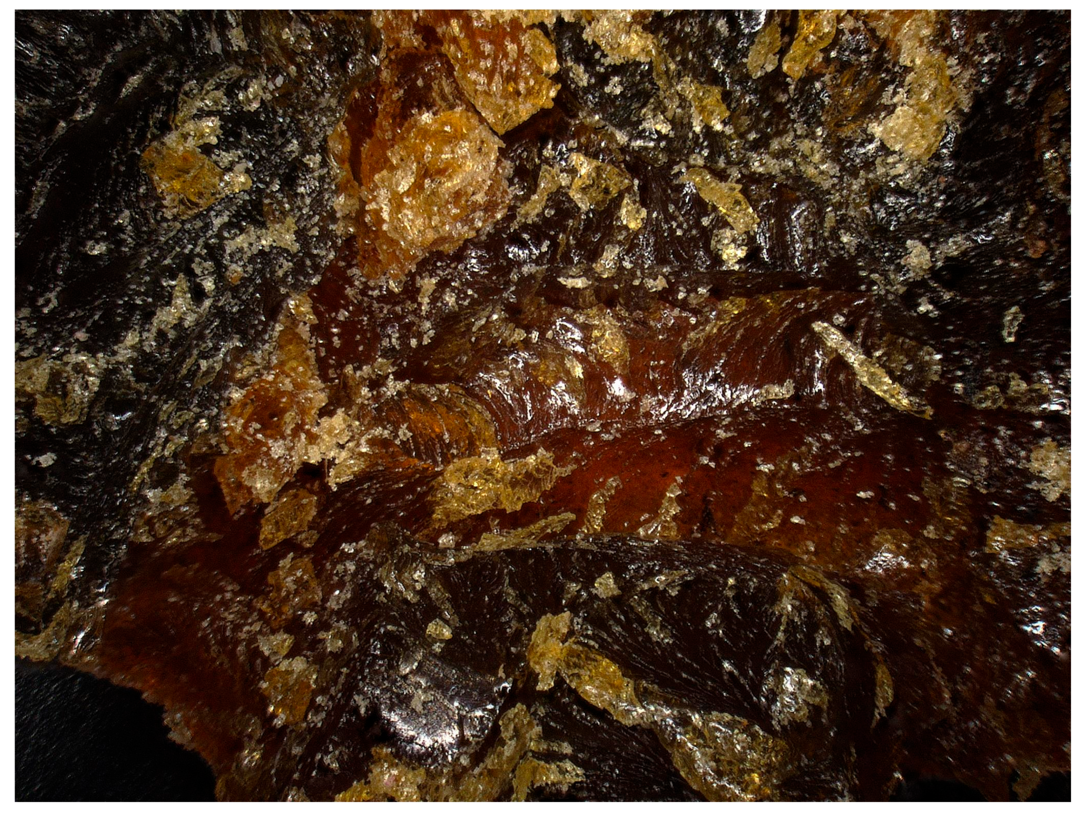 Preprints 194325 g023