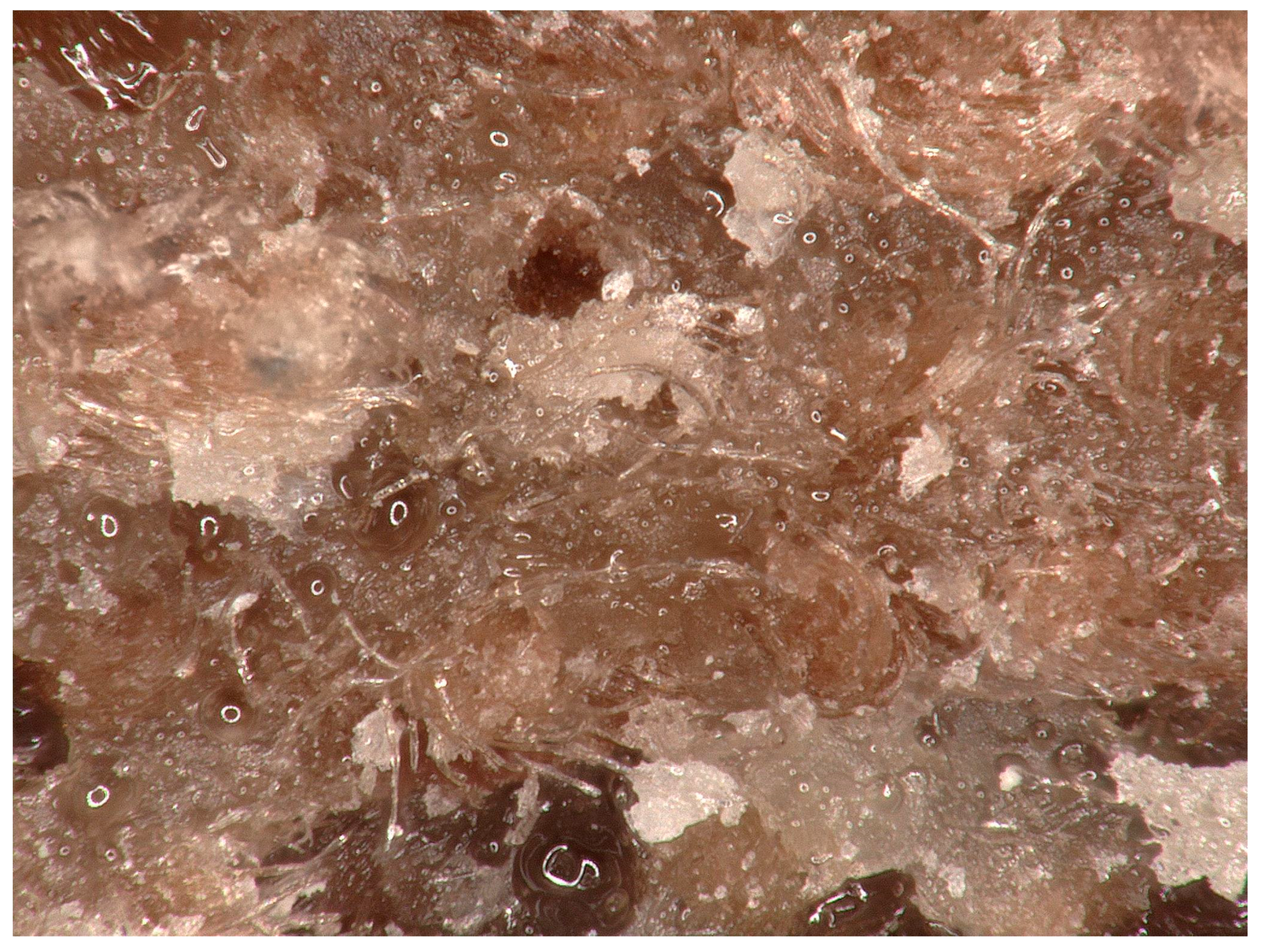 Preprints 194325 g024