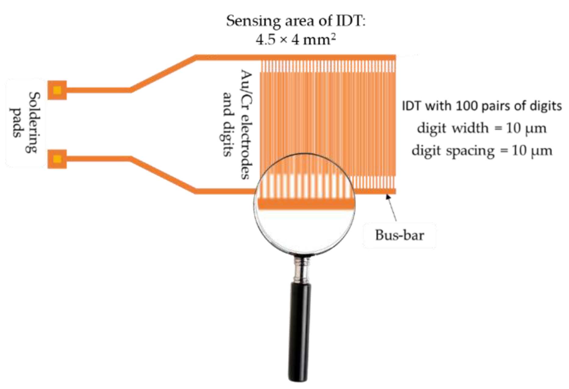 Preprints 168352 g006