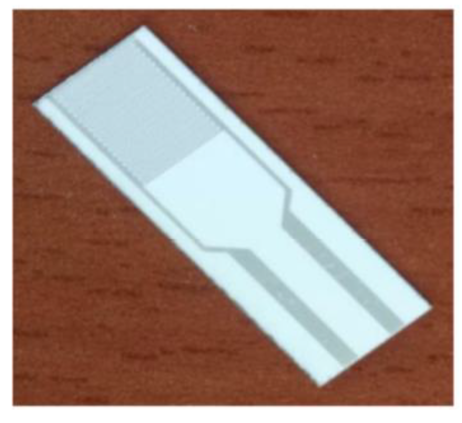 Preprints 168352 g007