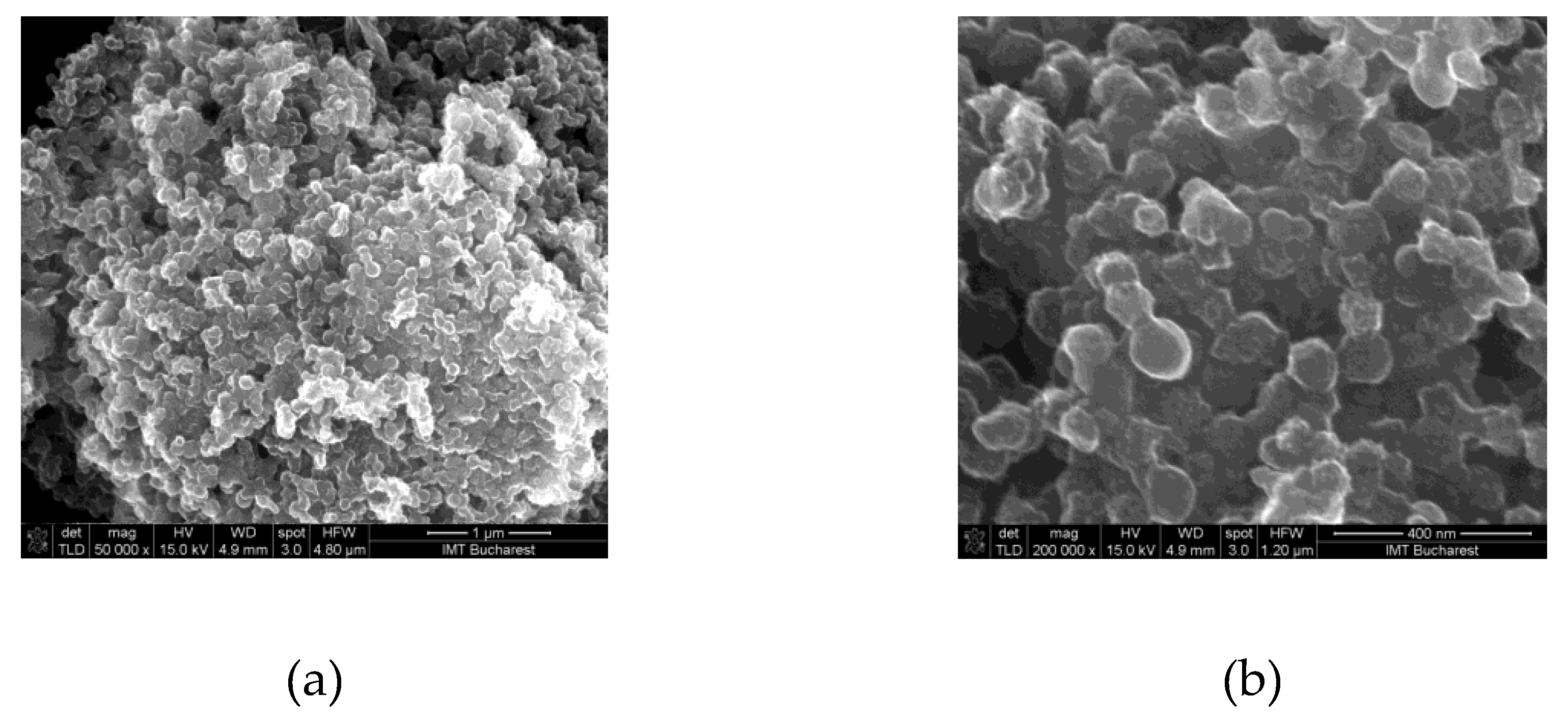 Preprints 168352 g017