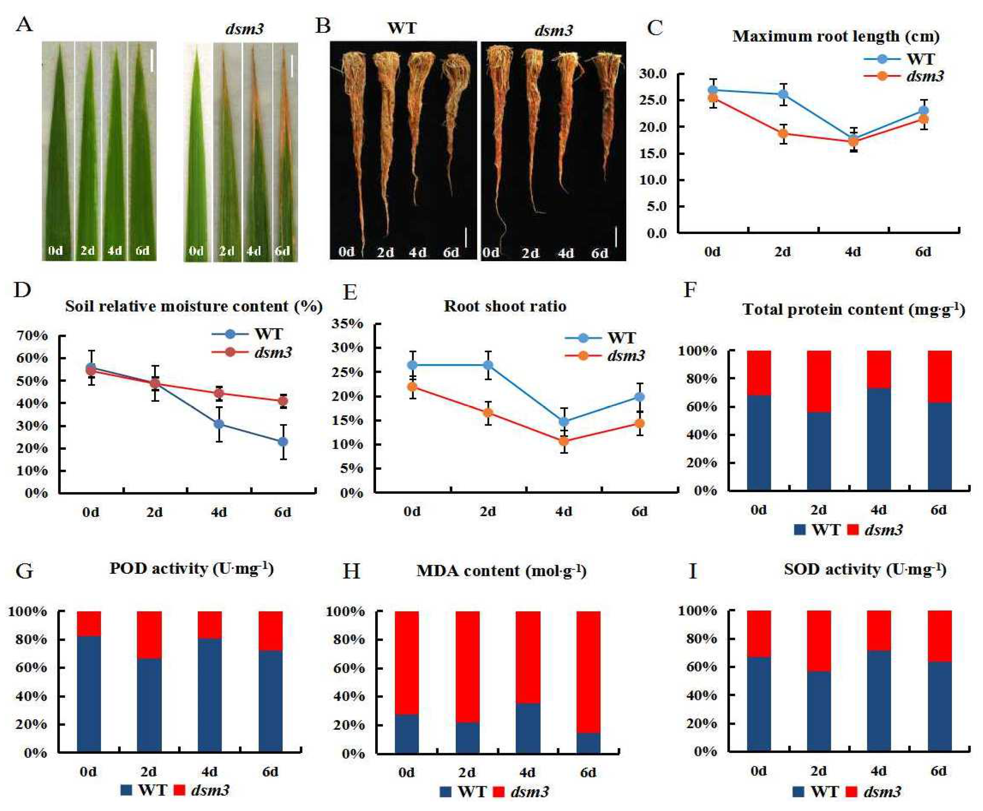 Preprints 81105 g002