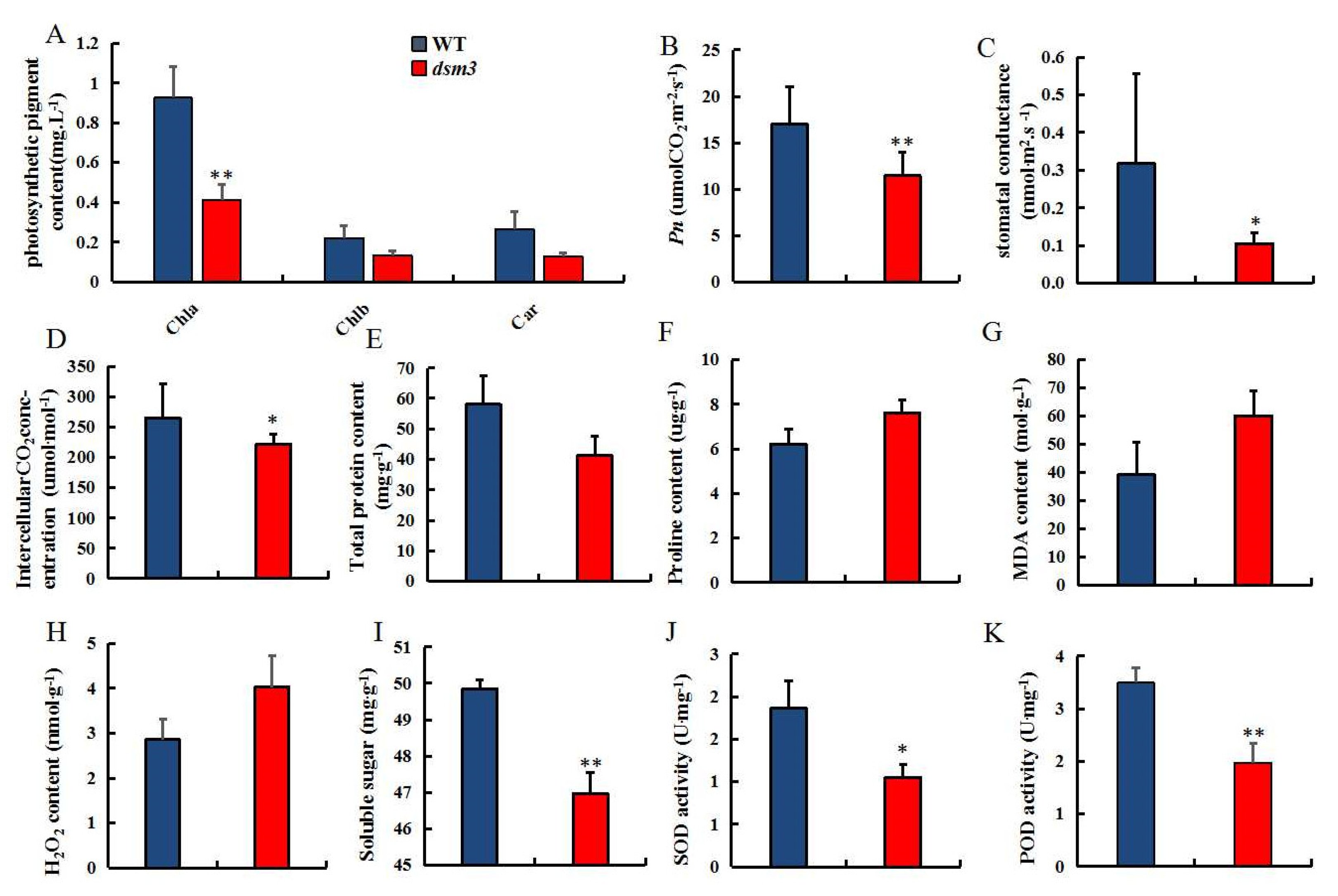 Preprints 81105 g004