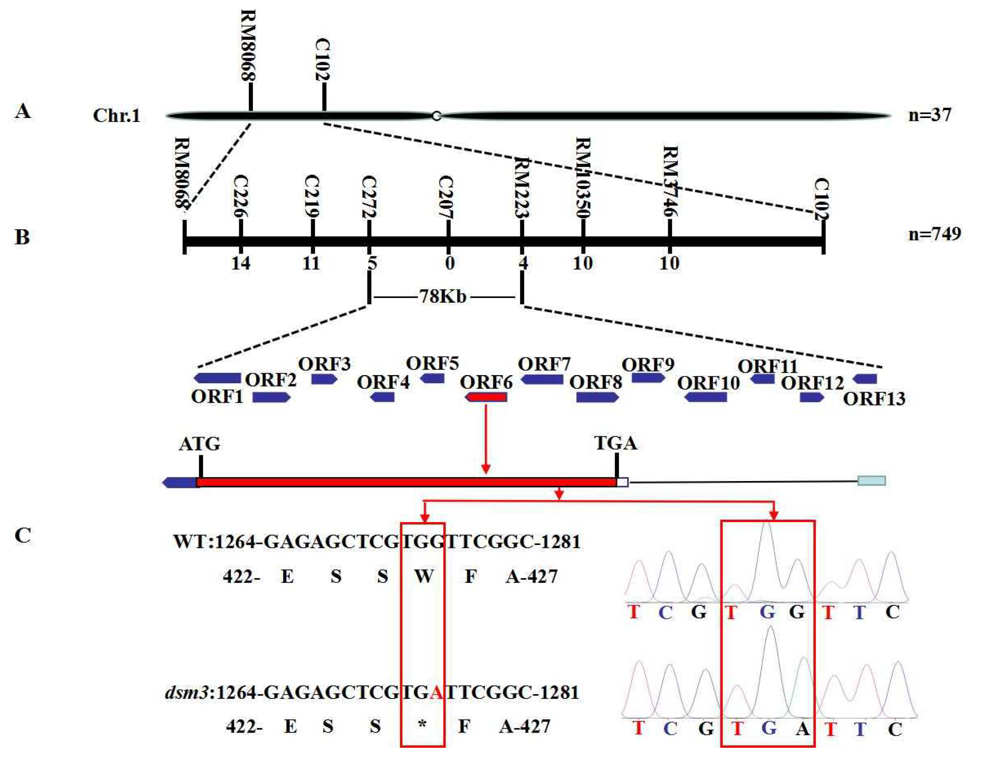 Preprints 81105 g005