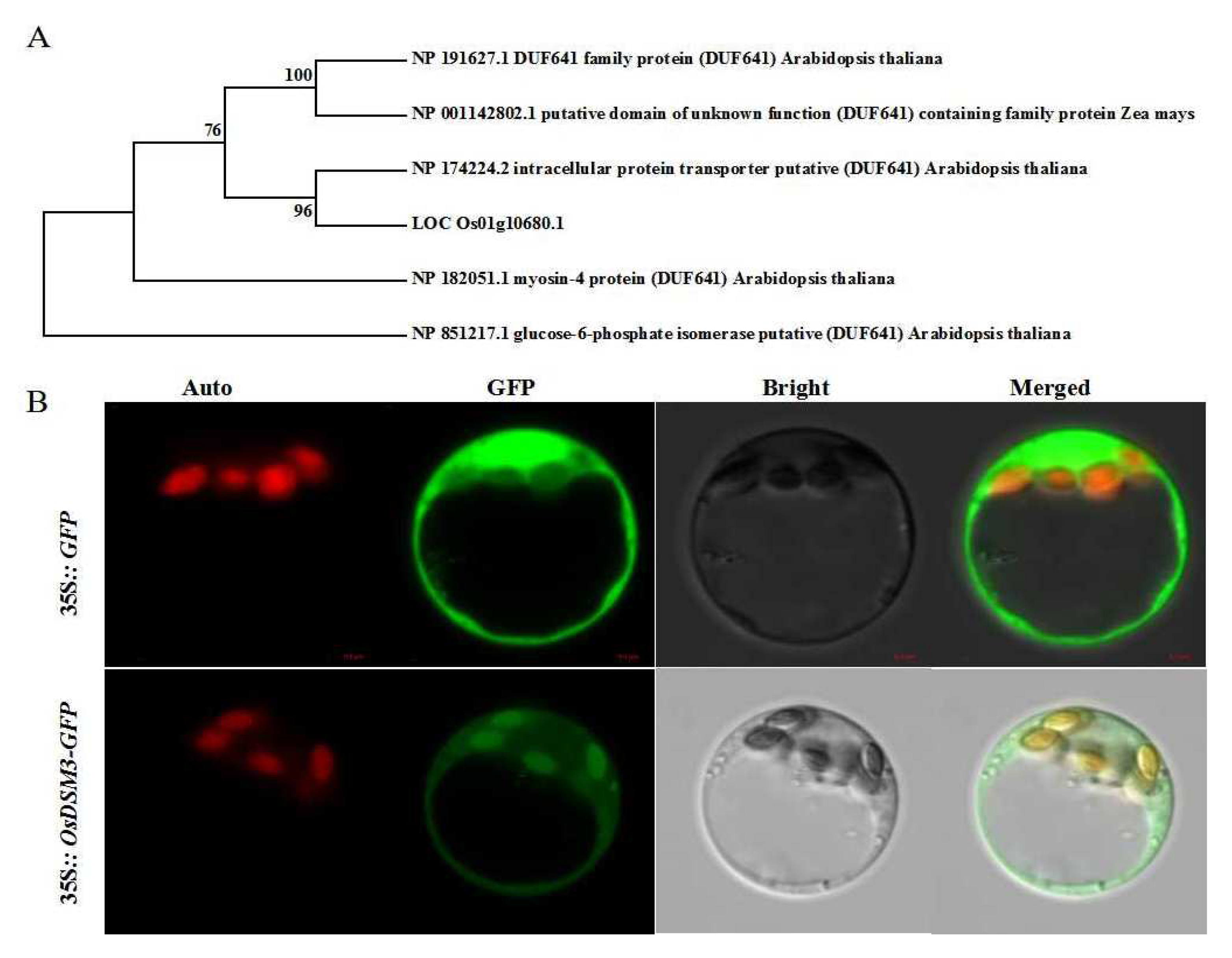 Preprints 81105 g007