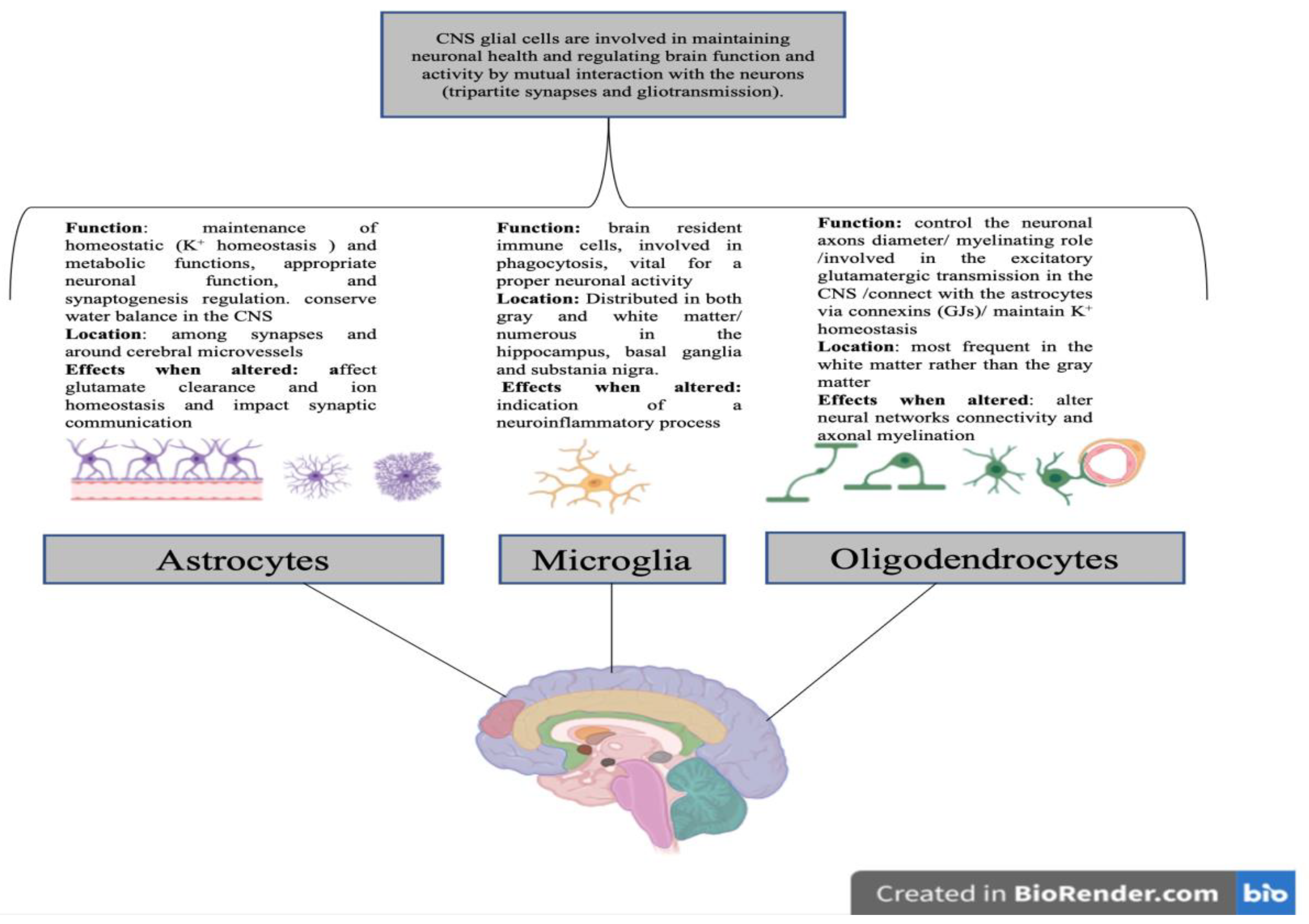 Preprints 145908 g001