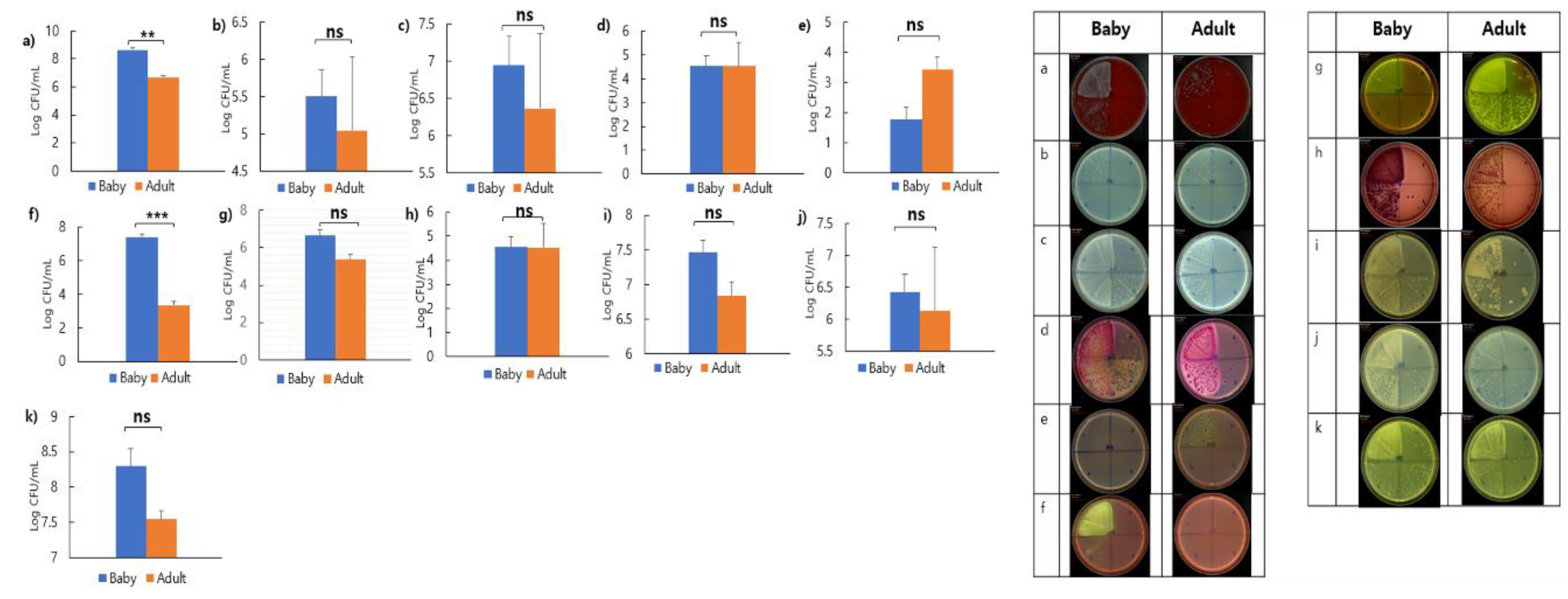 Preprints 153919 g006