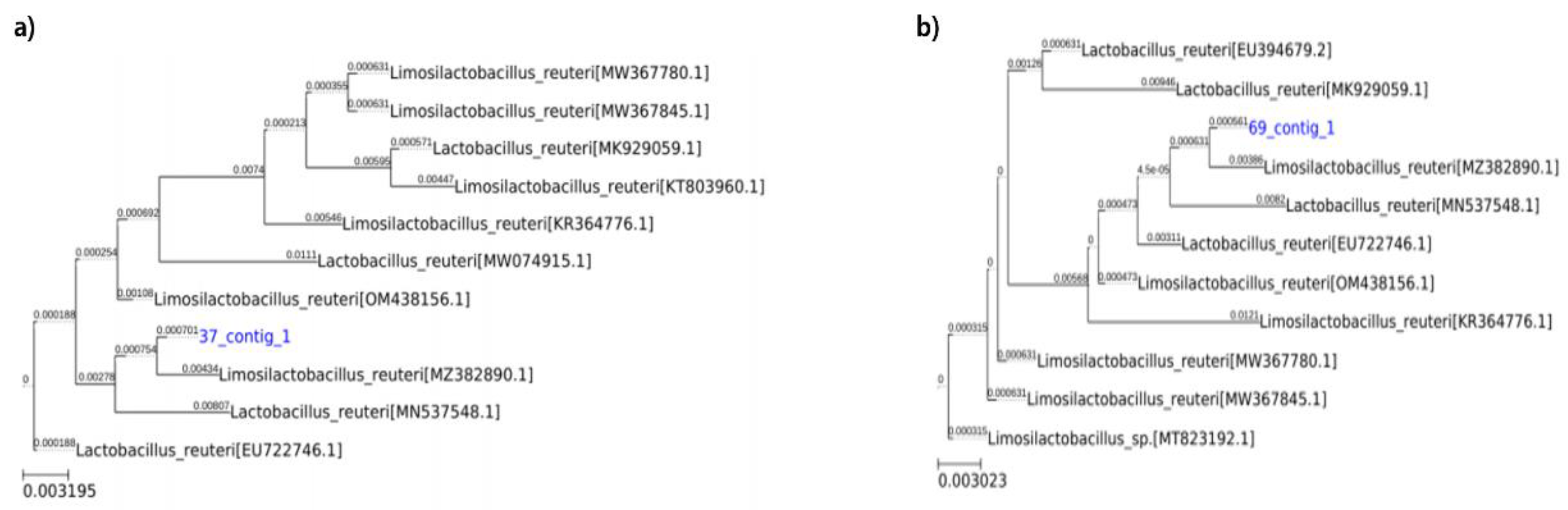 Preprints 153919 g009
