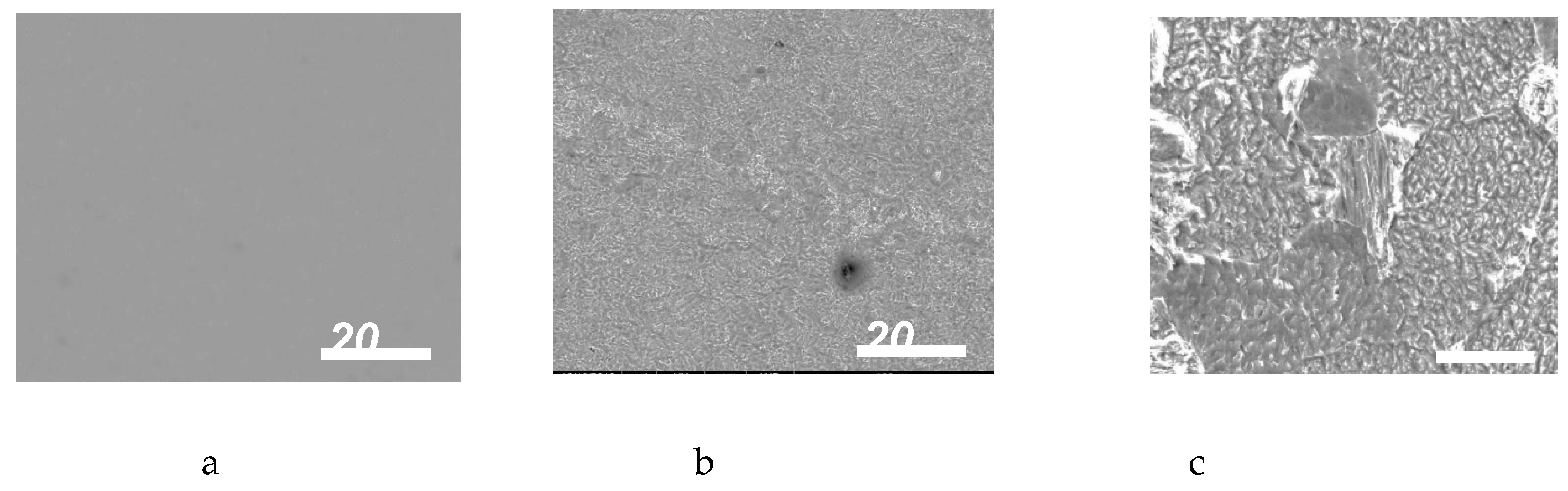 Preprints 149628 g006a
