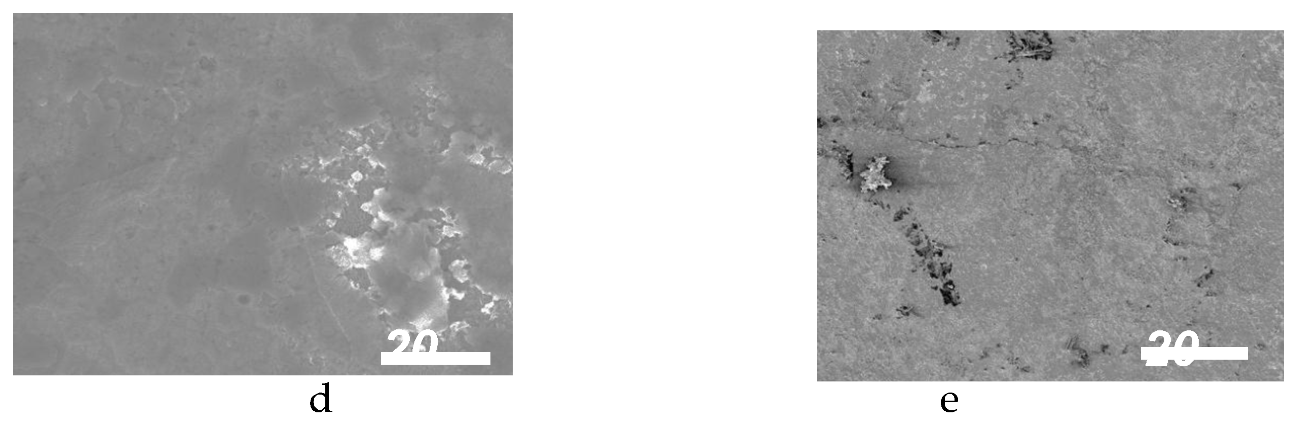 Preprints 149628 g006b