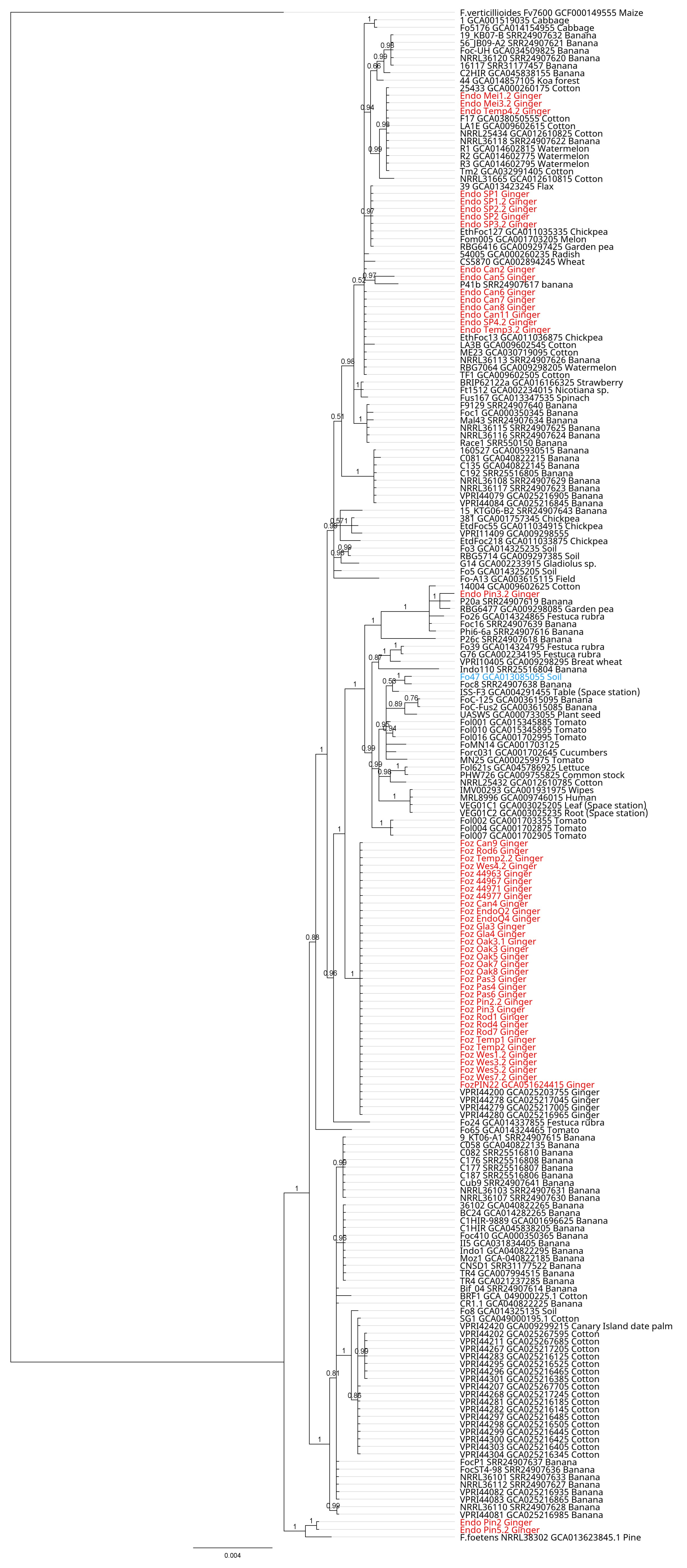 Preprints 207987 g001