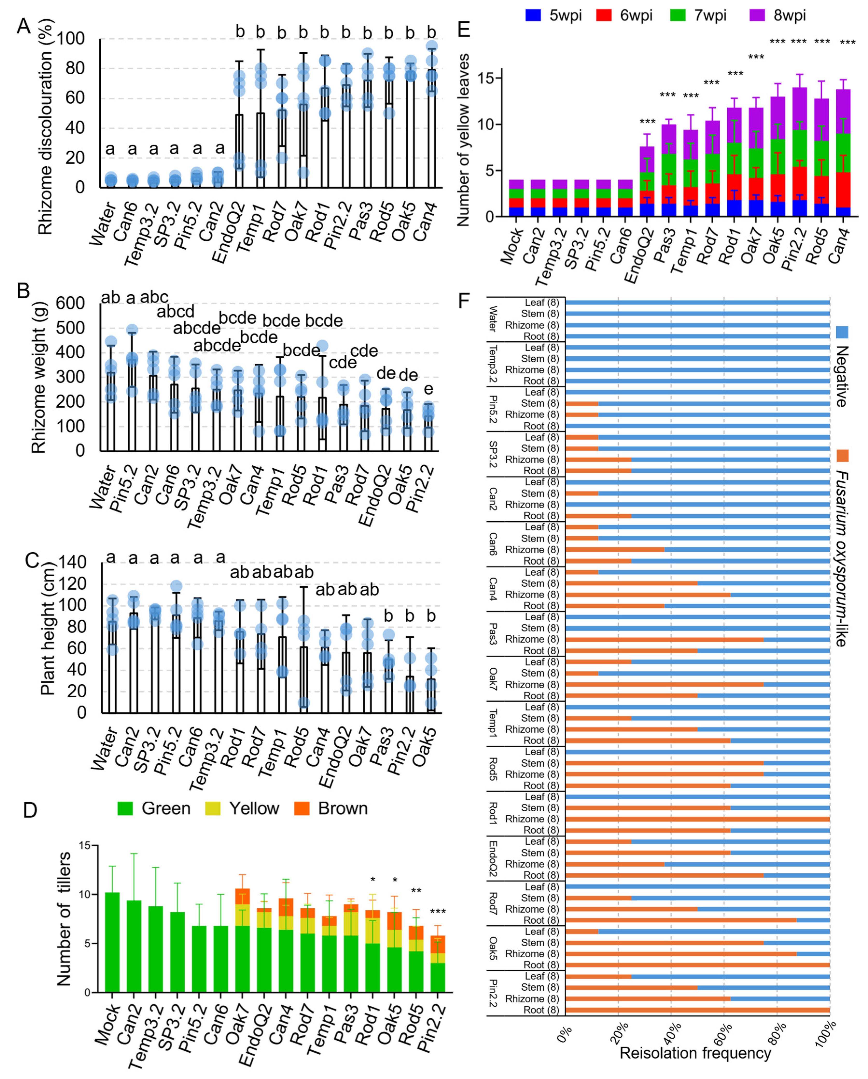 Preprints 207987 g004