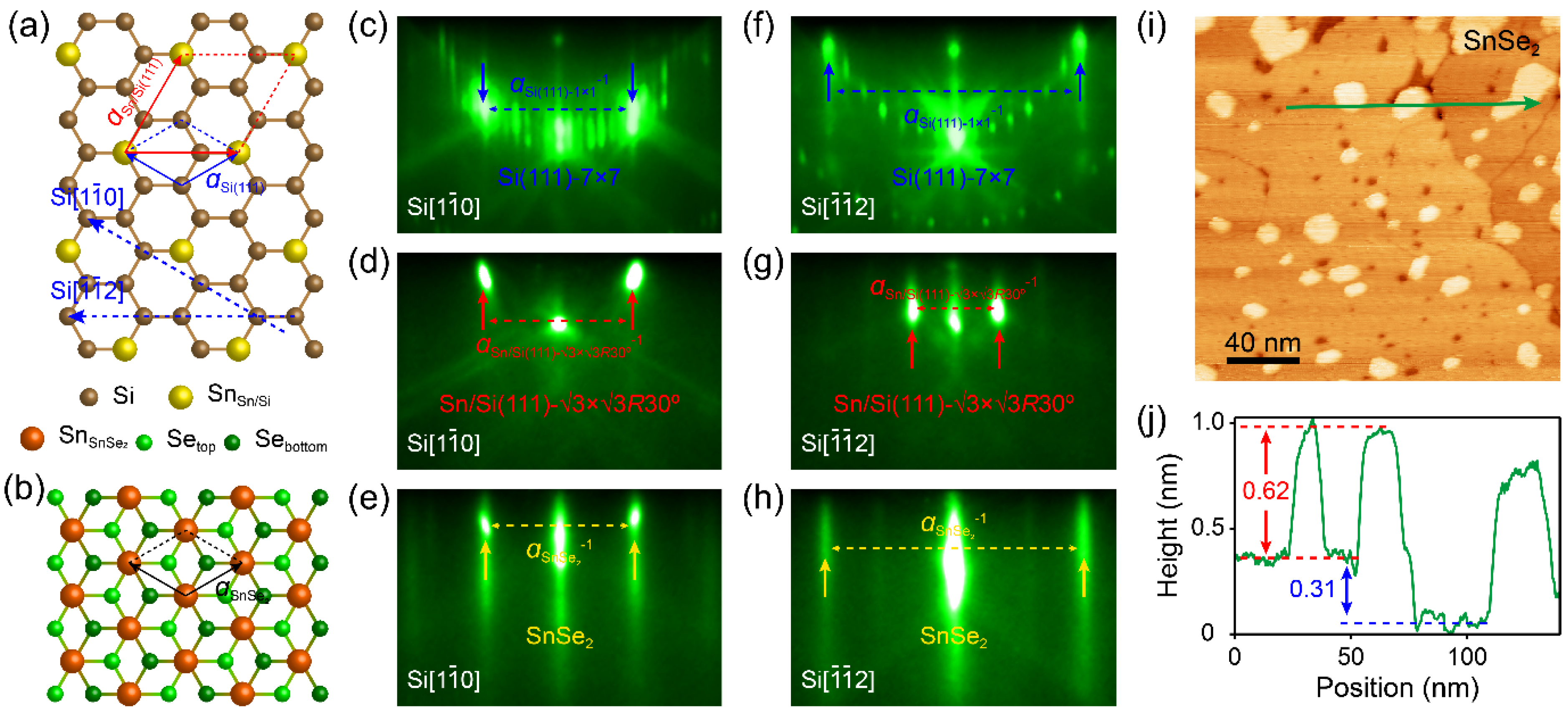 Preprints 158659 g001