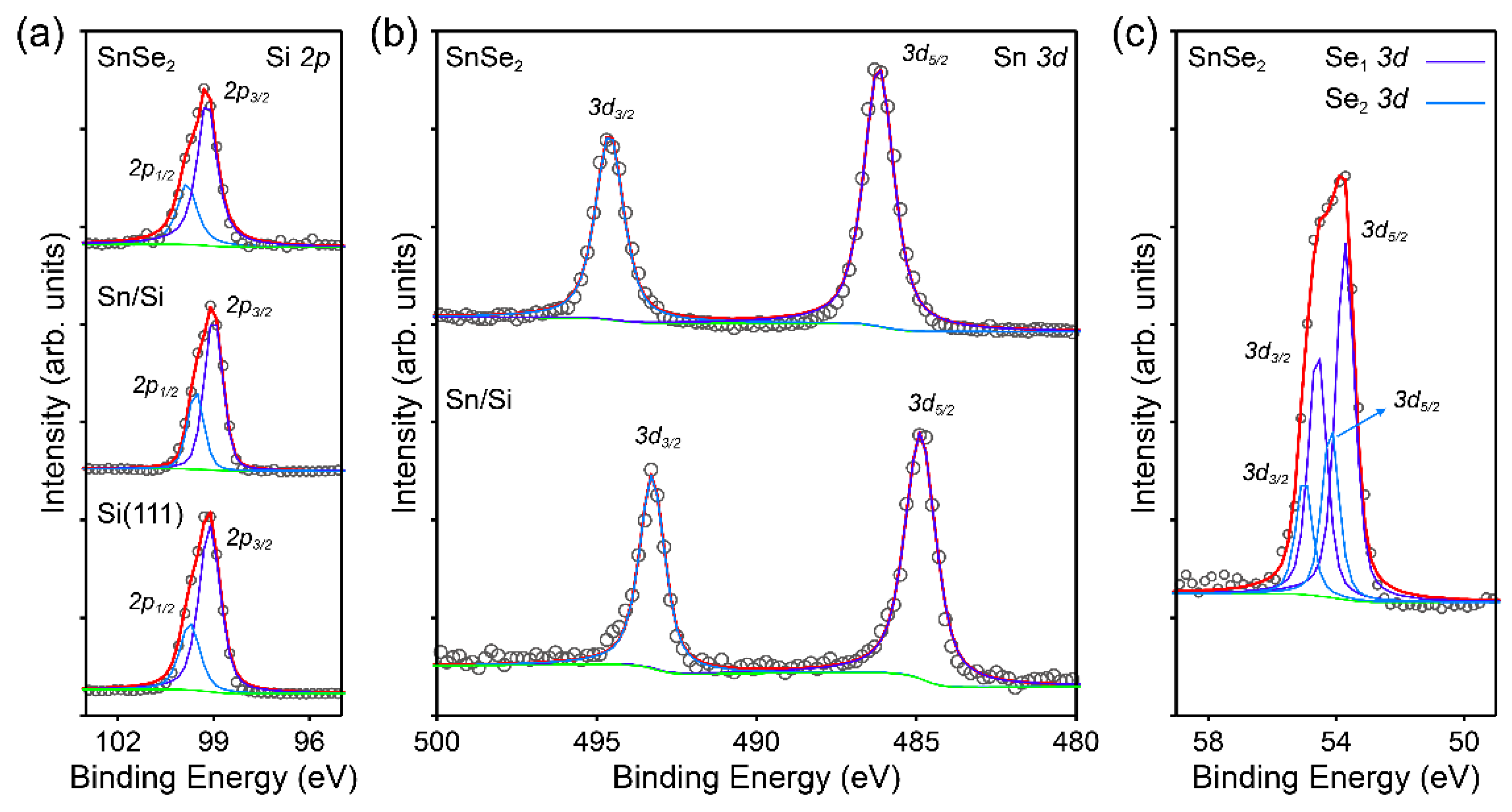 Preprints 158659 g002