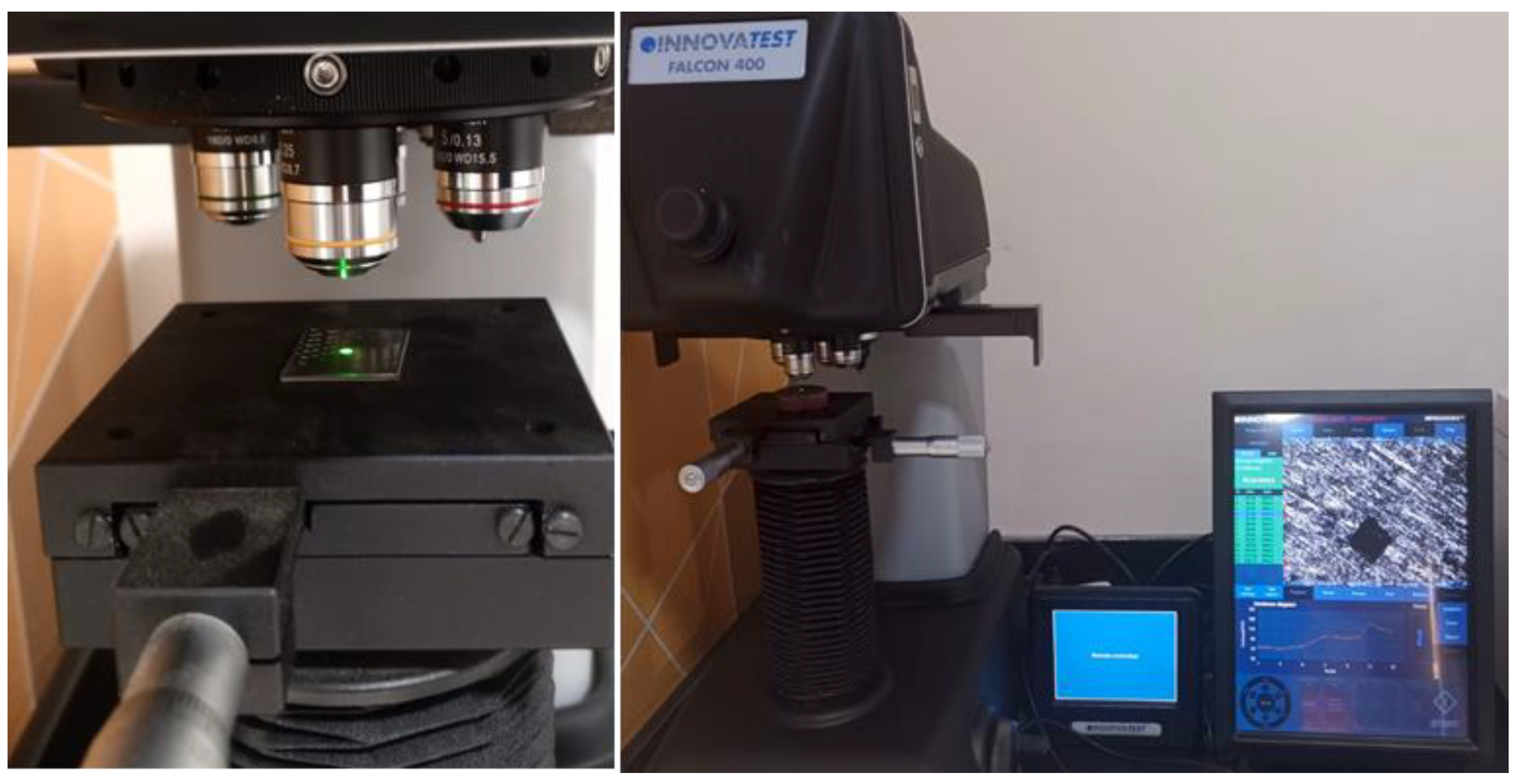 Preprints 218862 g006